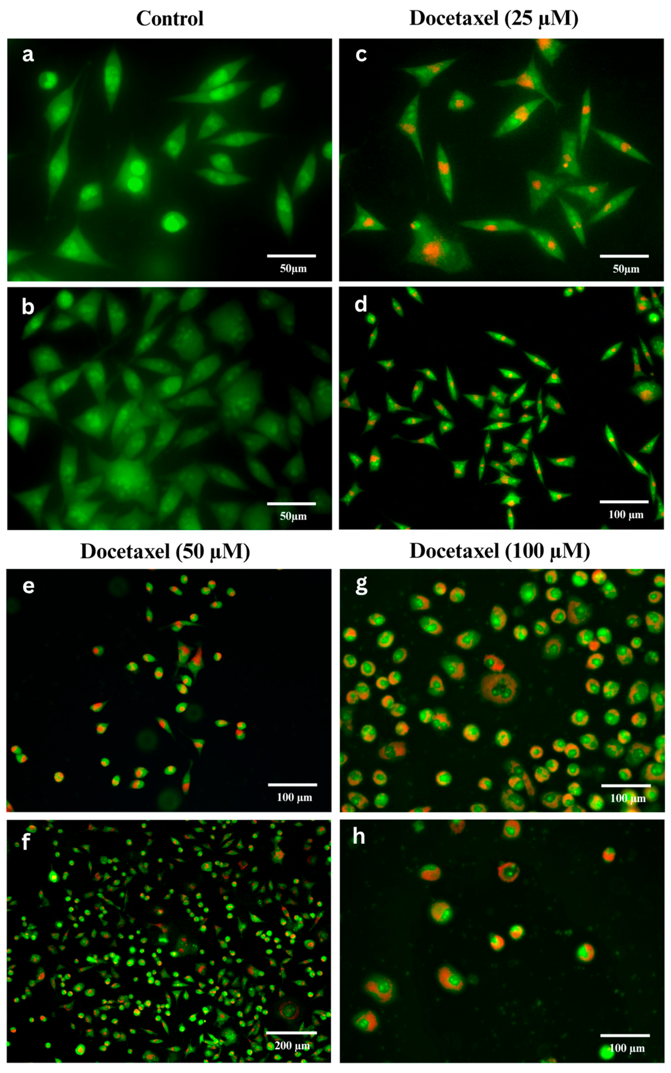 Pharmaceutics 17 01505 g001