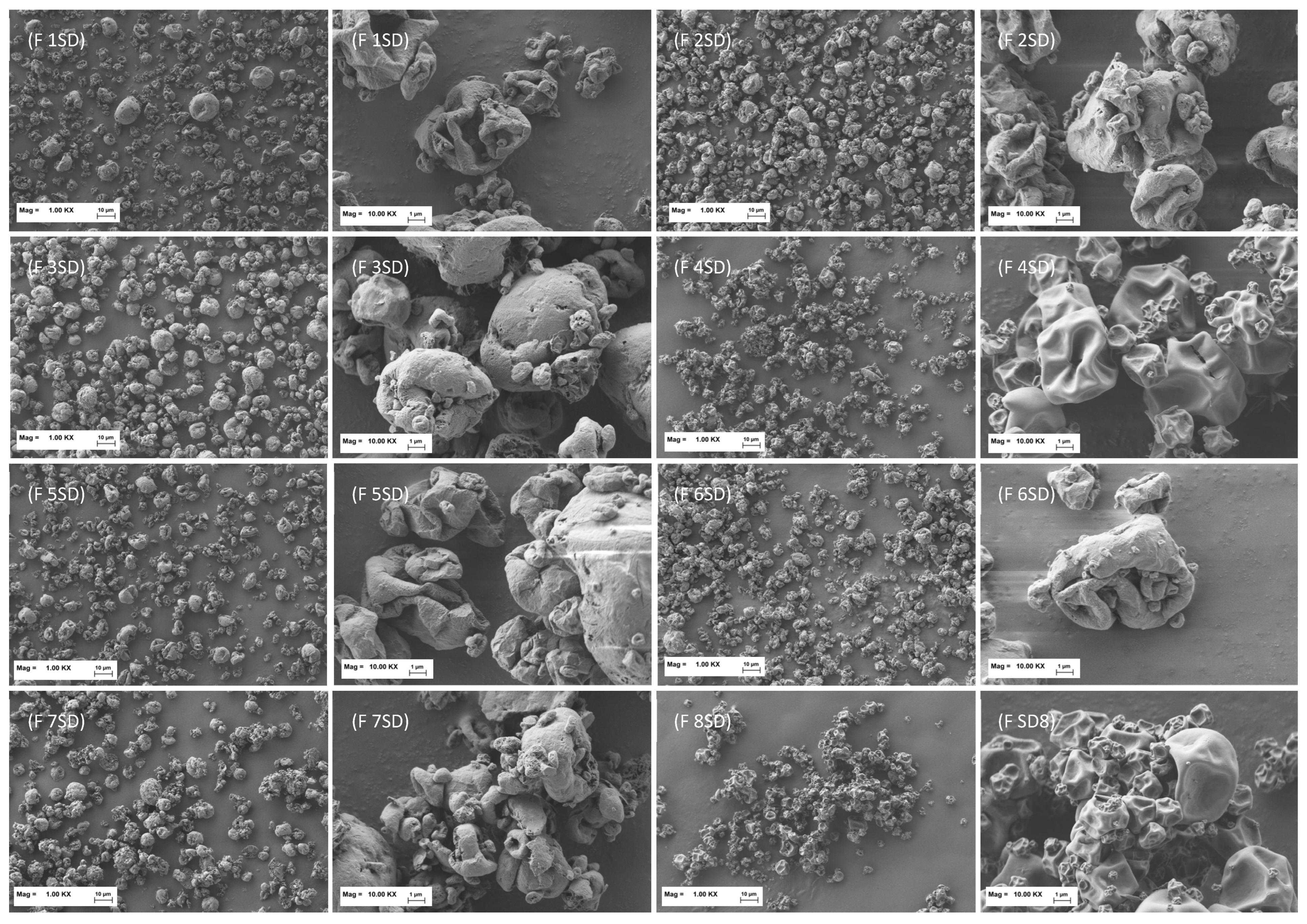 Pharmaceutics 17 01518 g003 Pharmaceutics 17 01518 g003