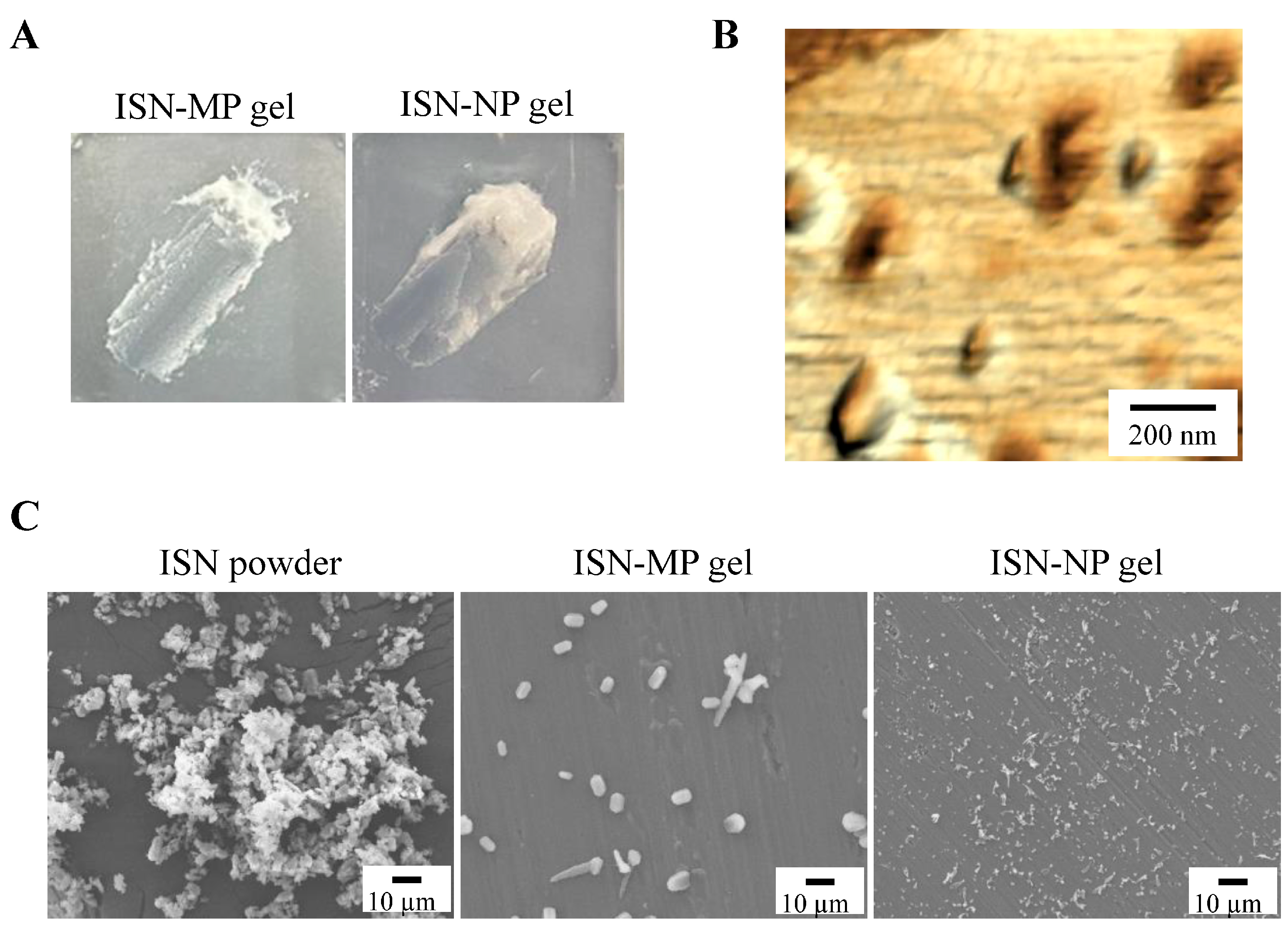 Pharmaceutics 17 01519 g004