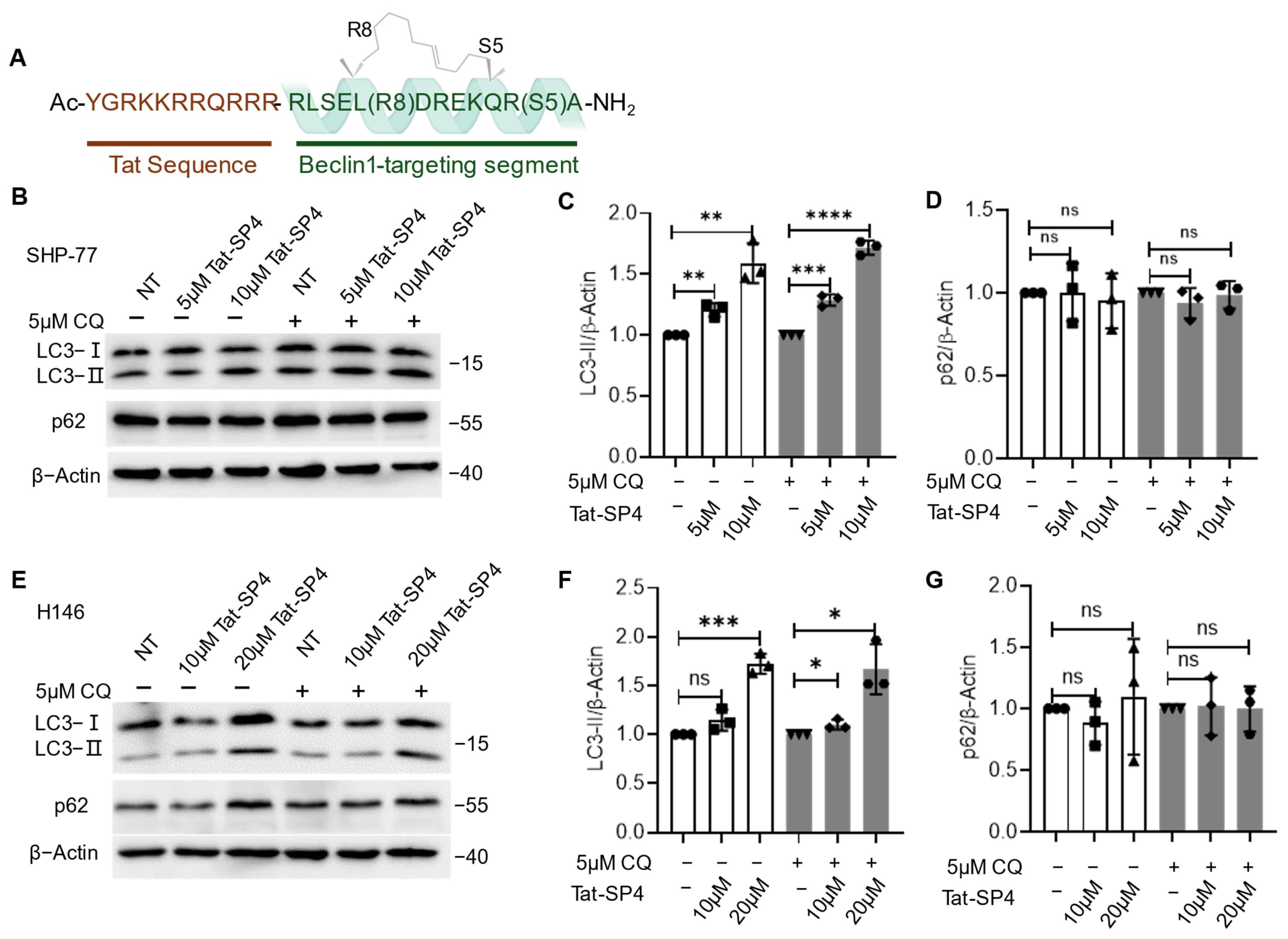 Pharmaceutics 17 01521 g001