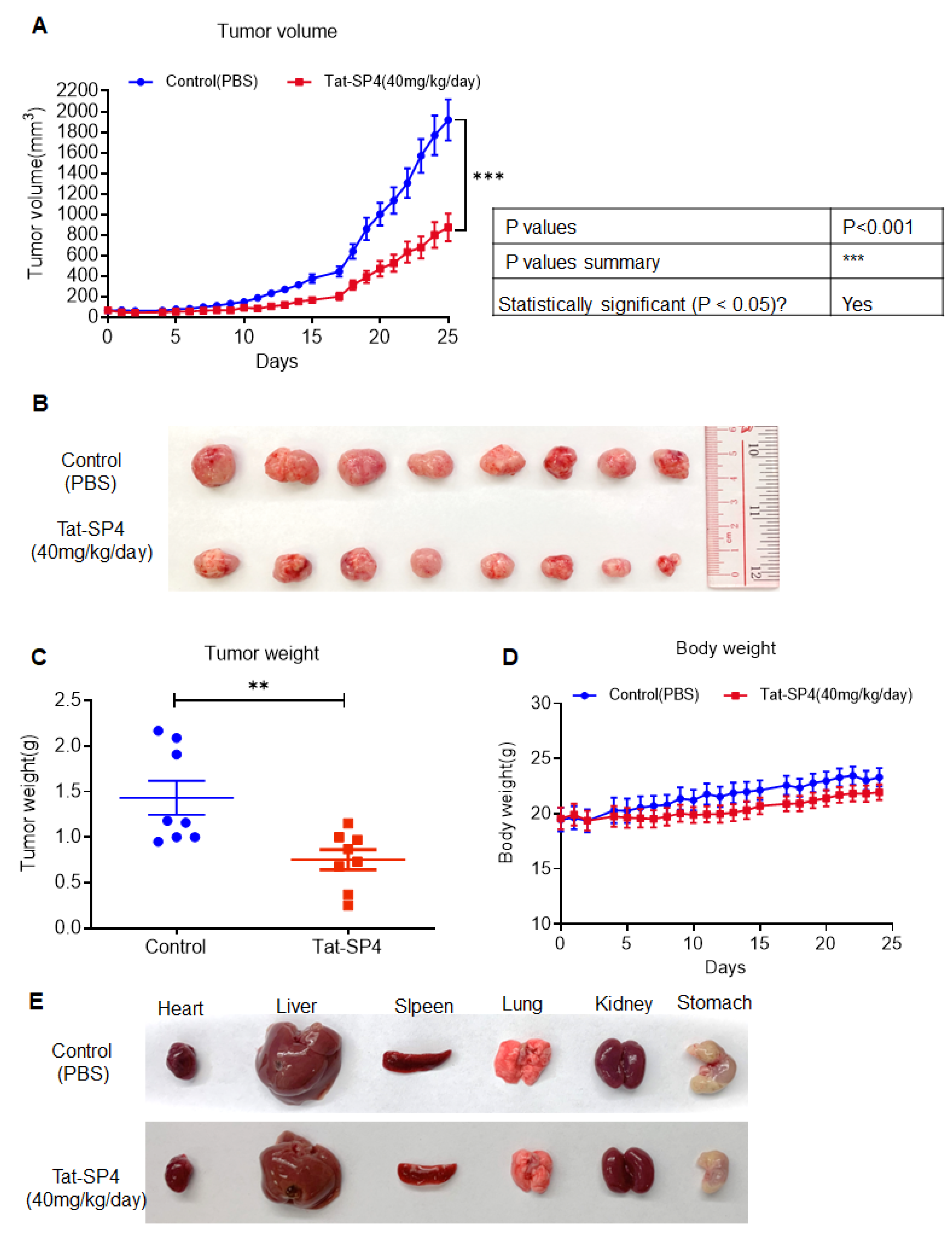 Pharmaceutics 17 01521 g007