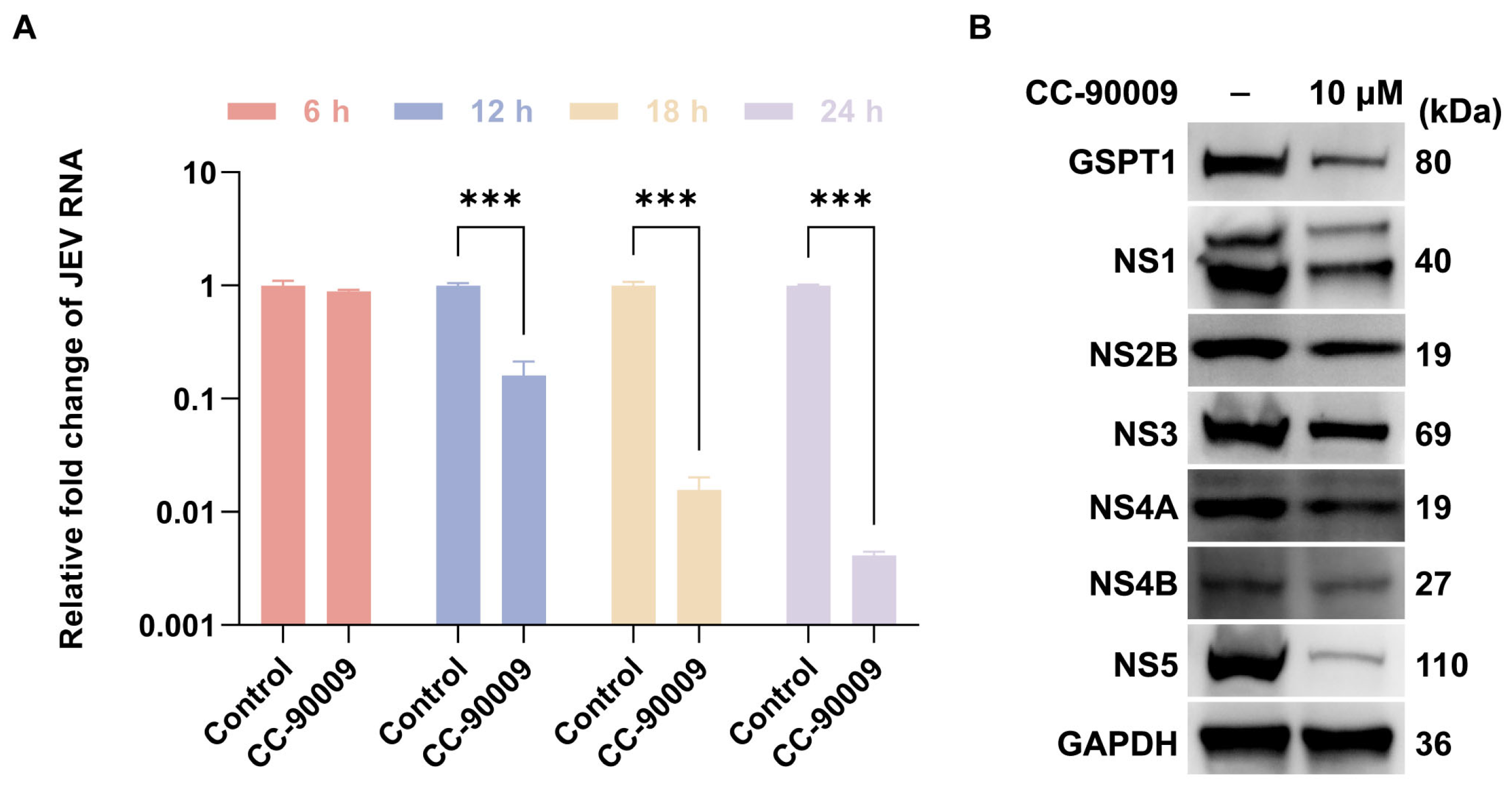 Pharmaceutics 17 01524 g003