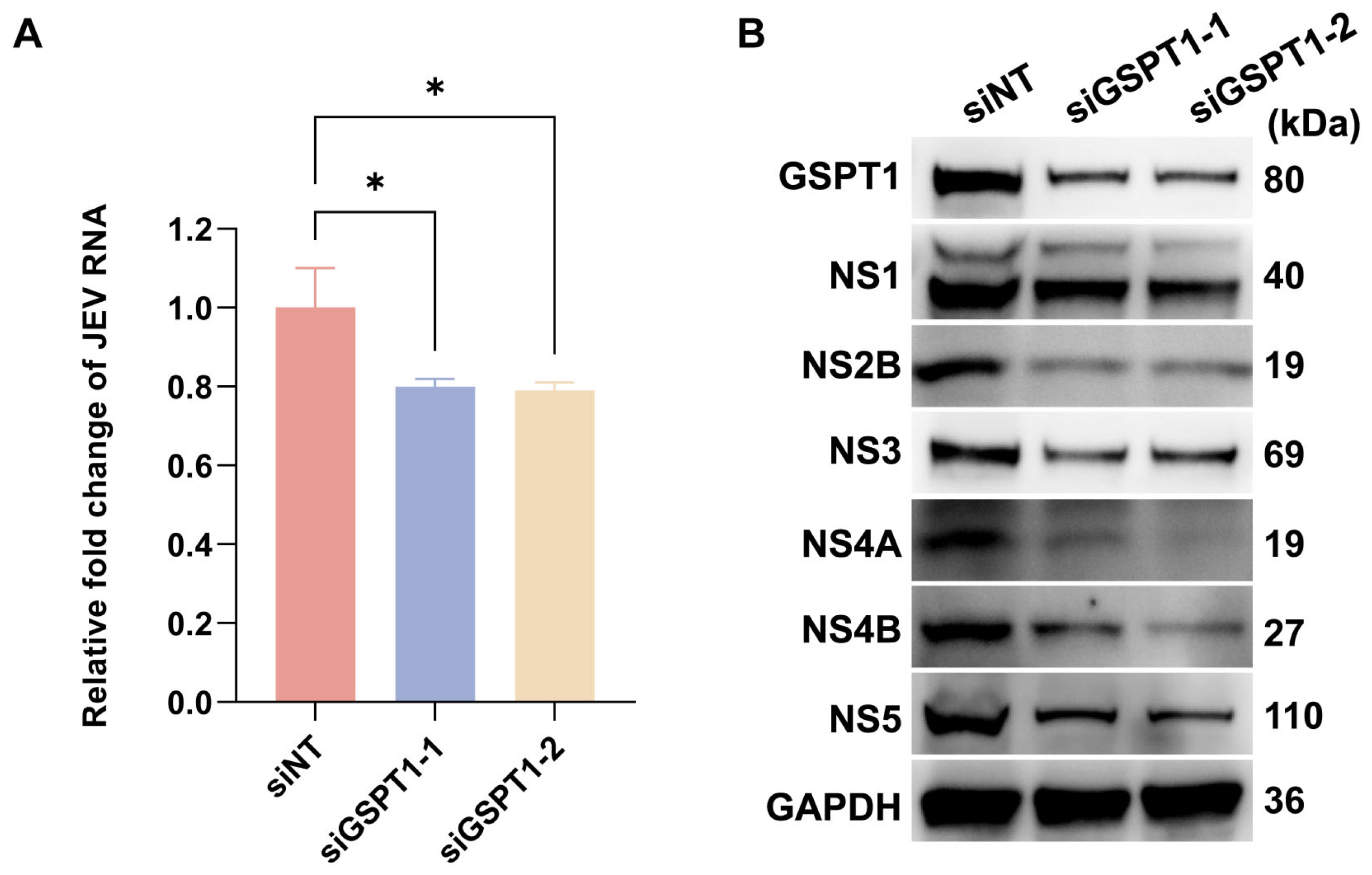 Pharmaceutics 17 01524 g004