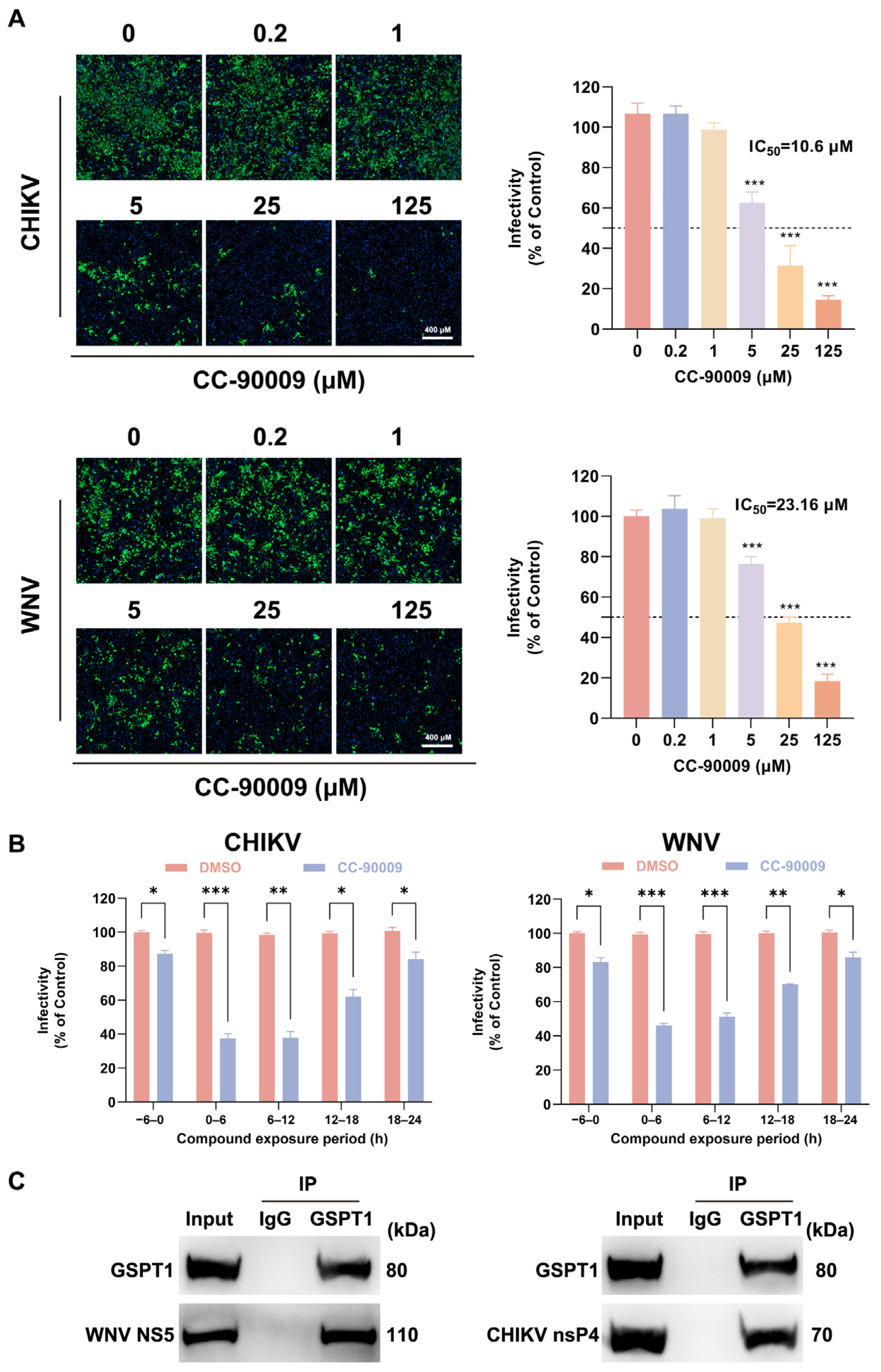 Pharmaceutics 17 01524 g006