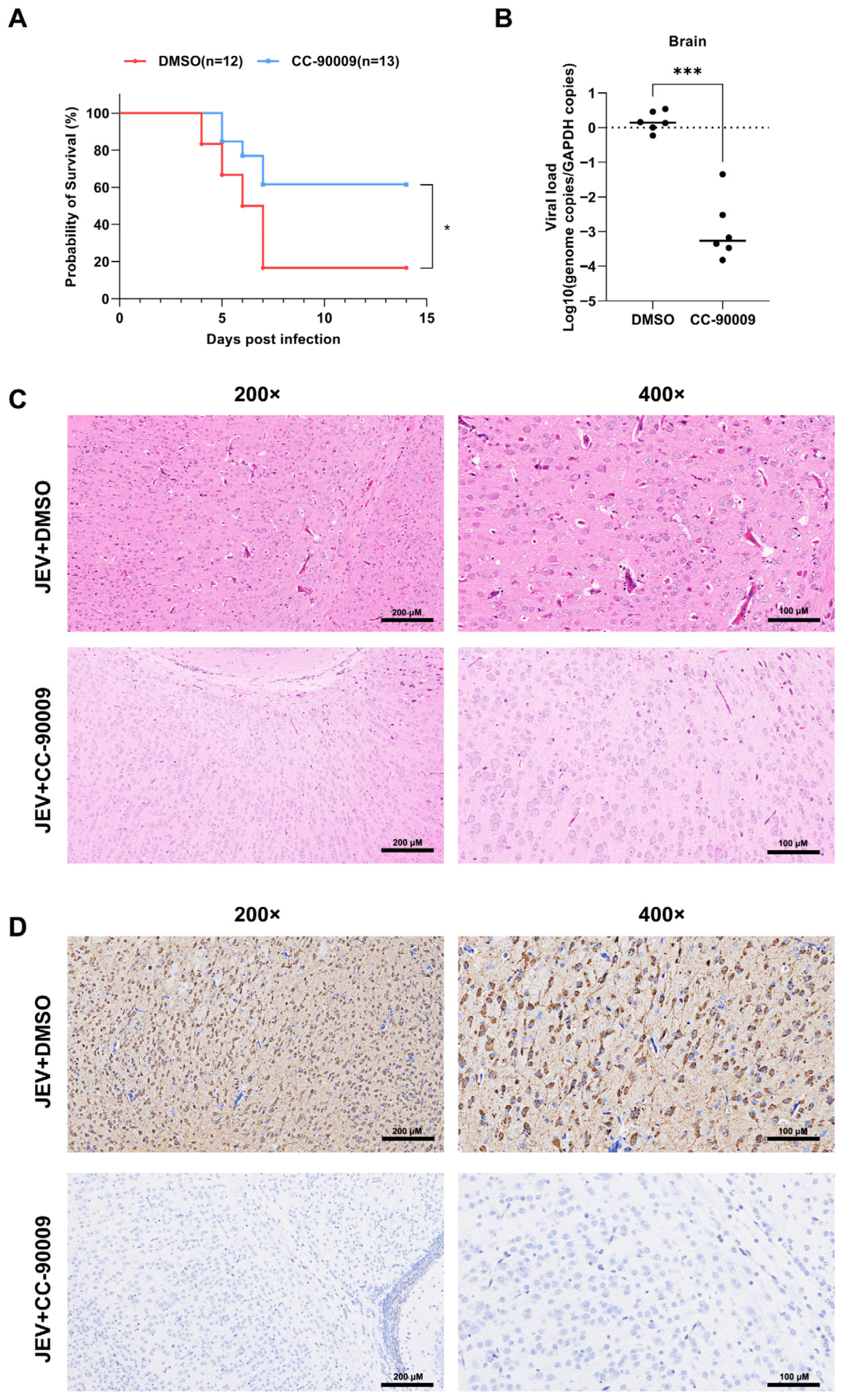 Pharmaceutics 17 01524 g007