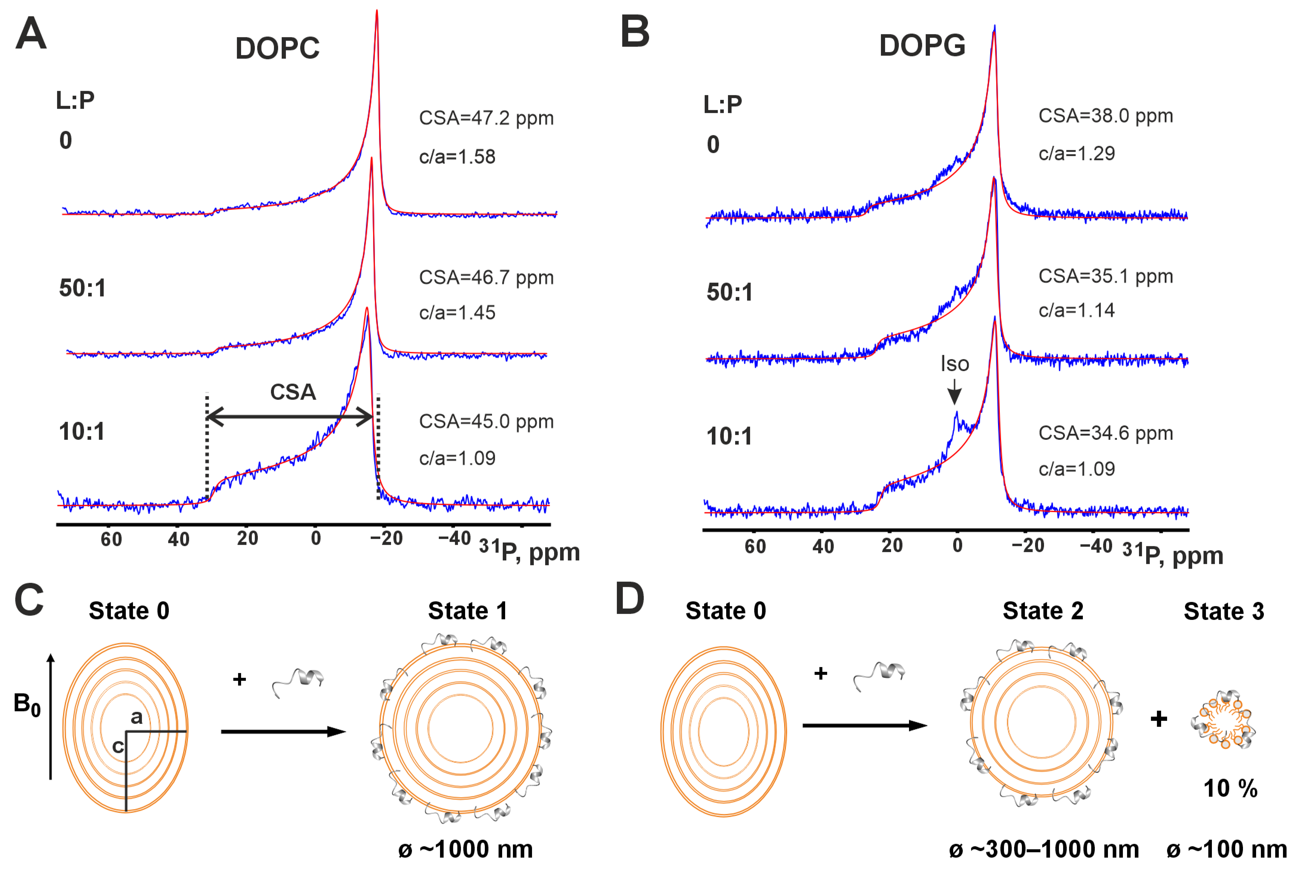 Pharmaceutics 17 01526 g004