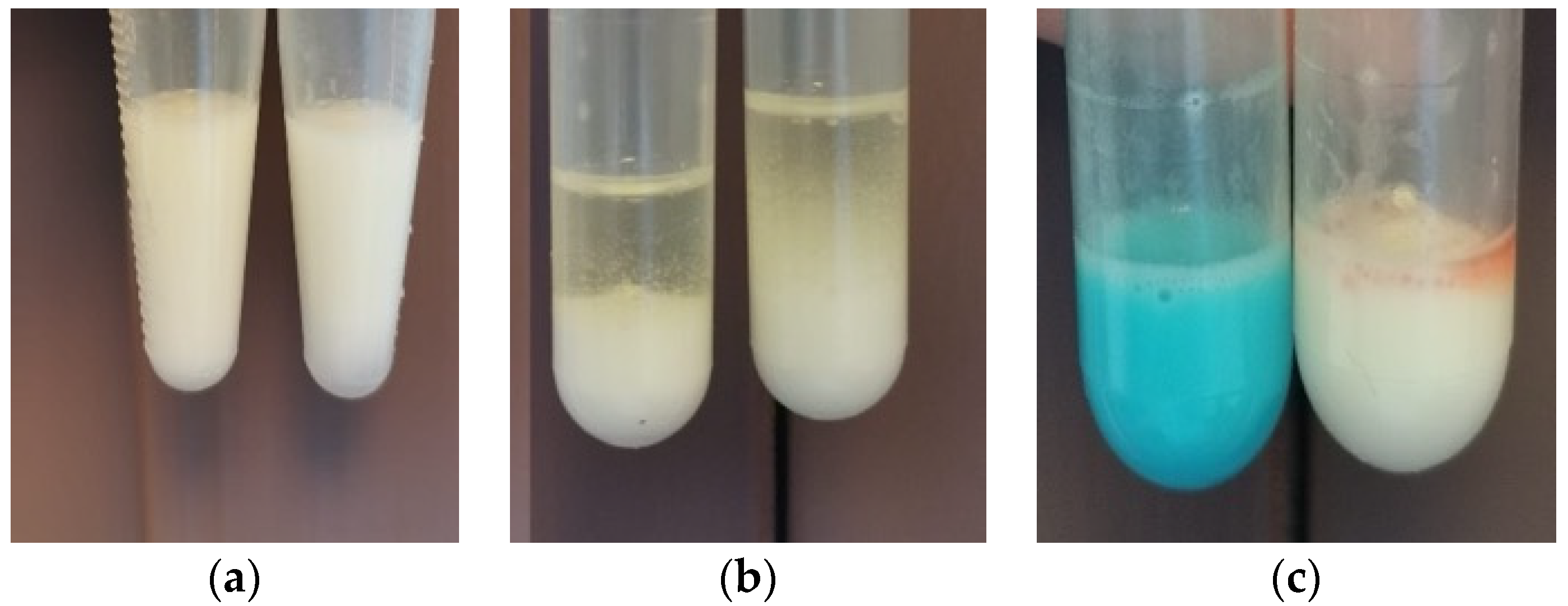 Pharmaceutics 17 01533 g005