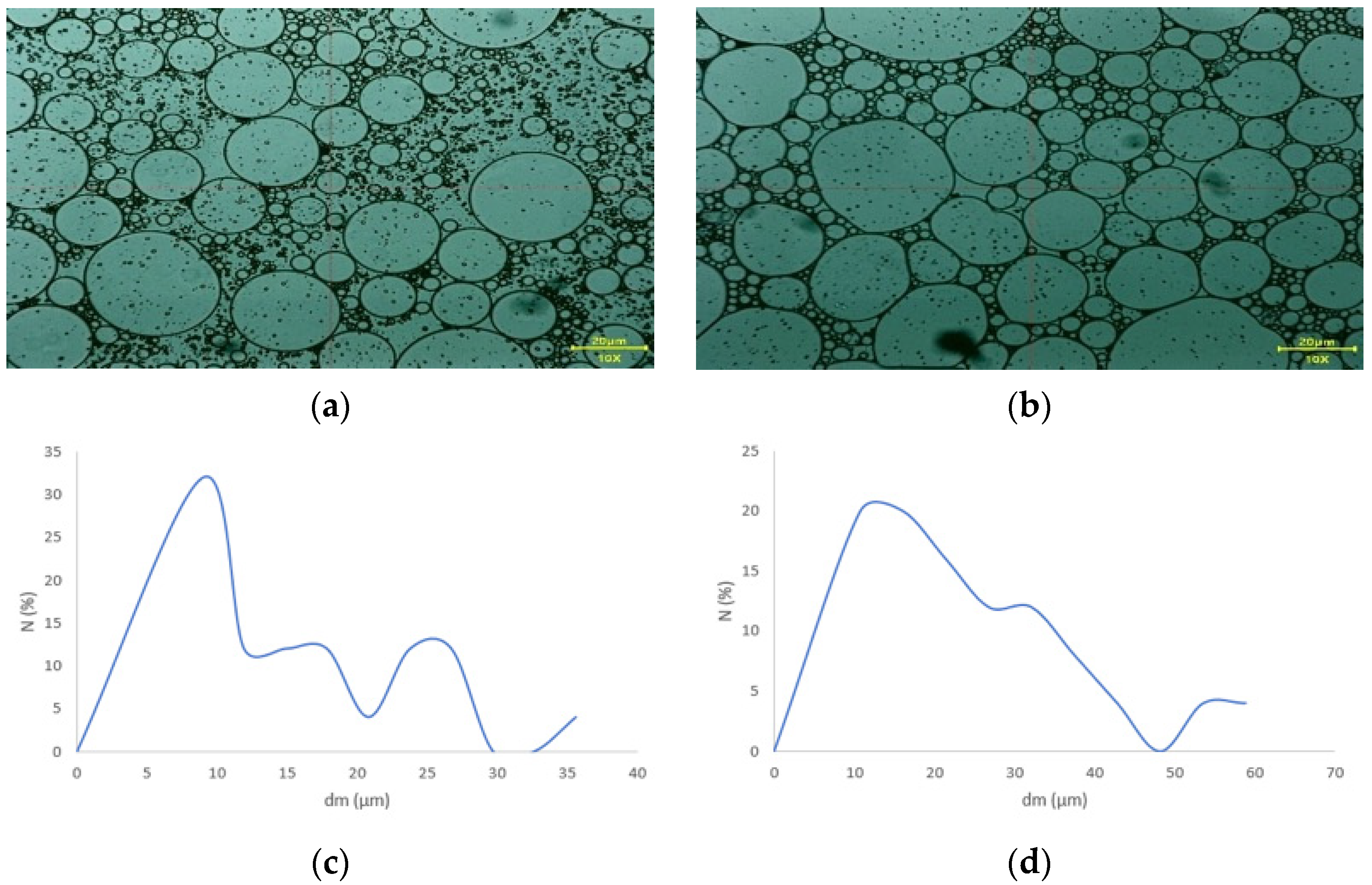 Pharmaceutics 17 01533 g006