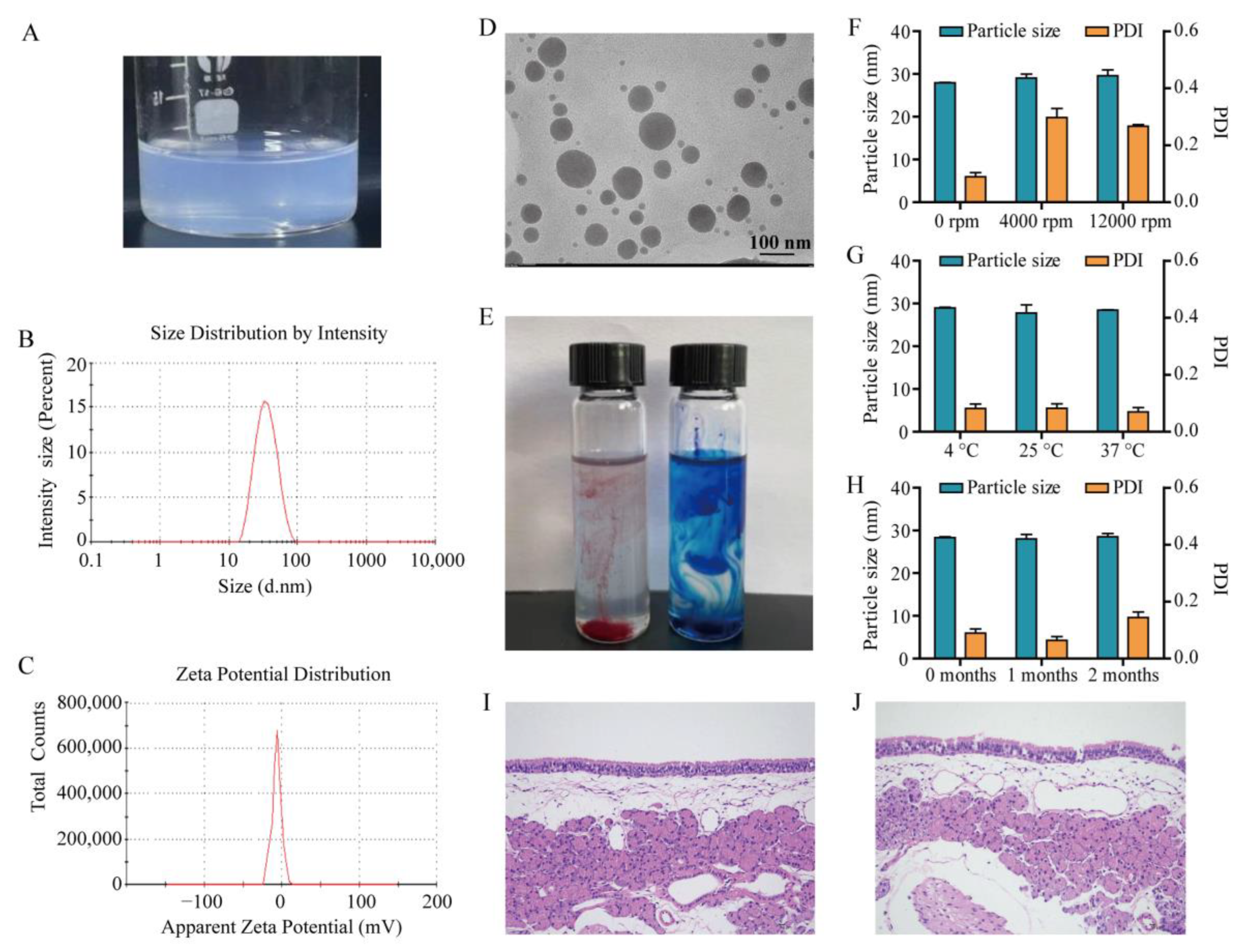 Pharmaceutics 17 01535 g002 Pharmaceutics 17 01535 g002