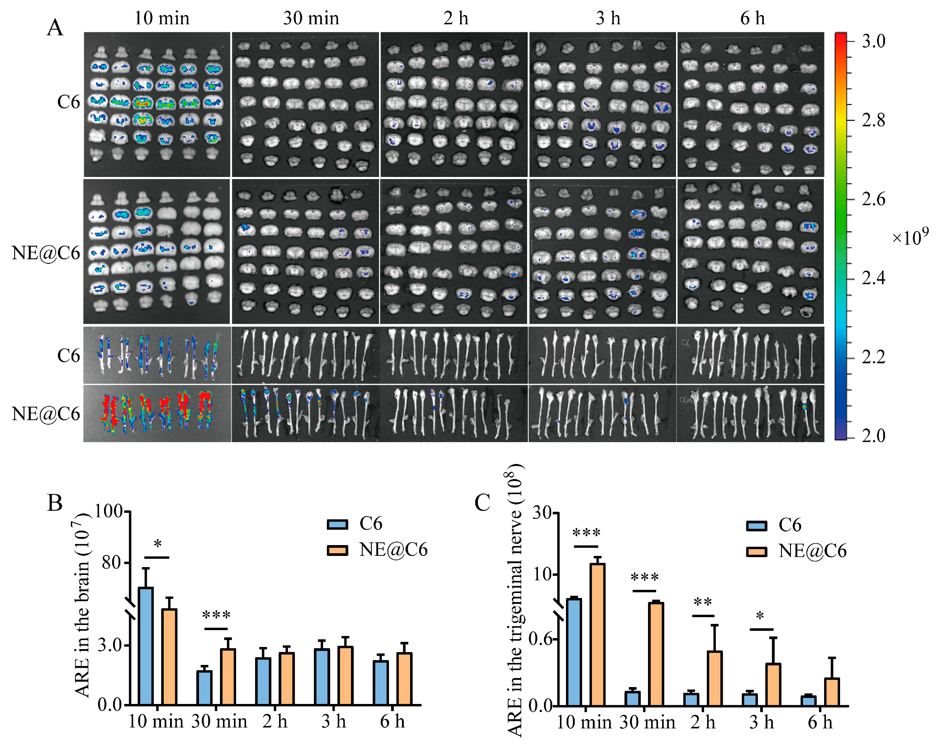 Pharmaceutics 17 01535 g004 Pharmaceutics 17 01535 g004