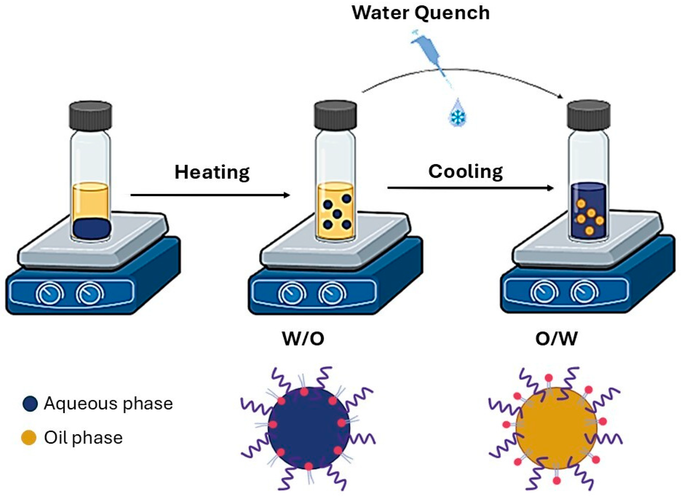 Pharmaceutics 17 01537 g002