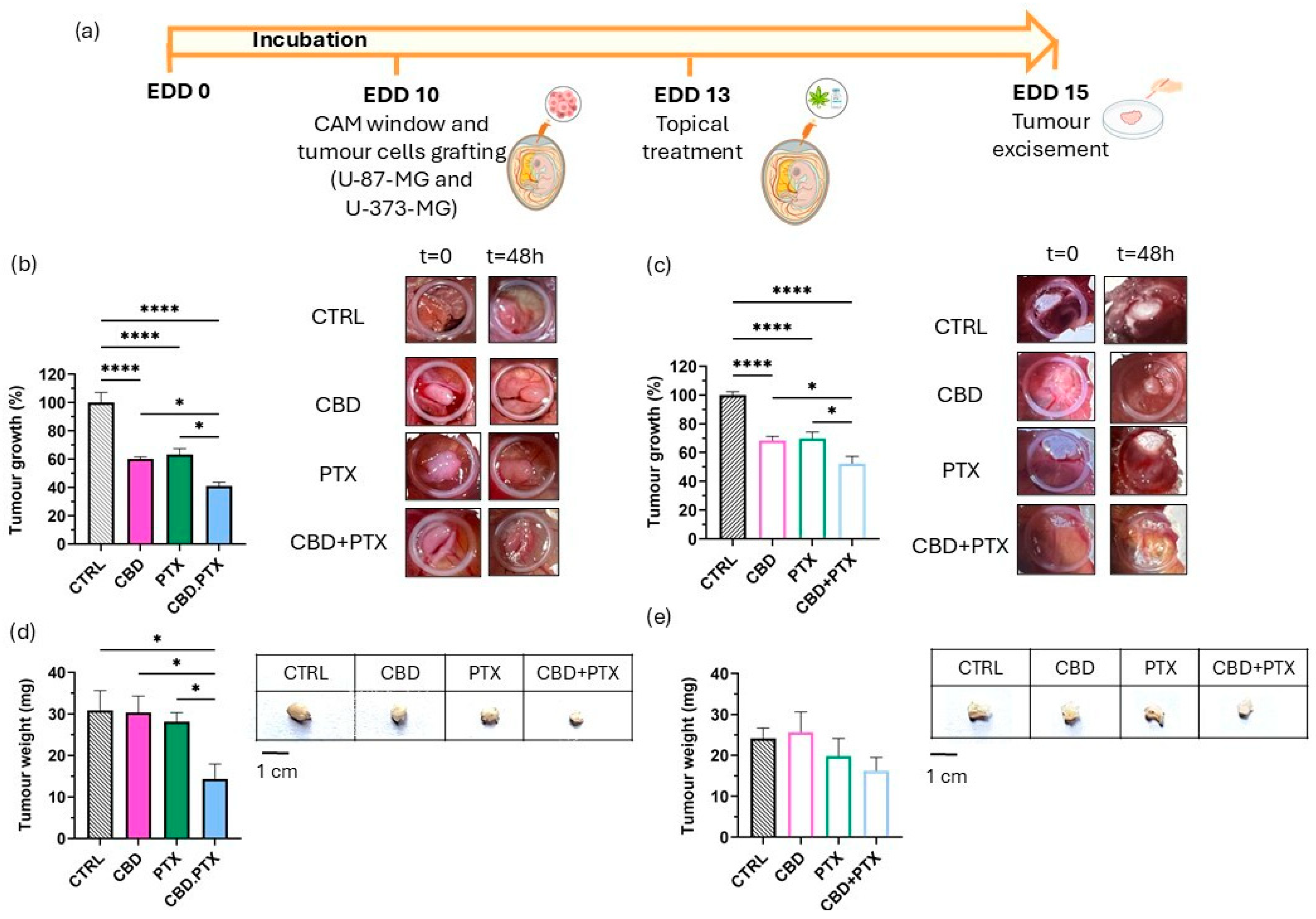 Pharmaceutics 17 01537 g008