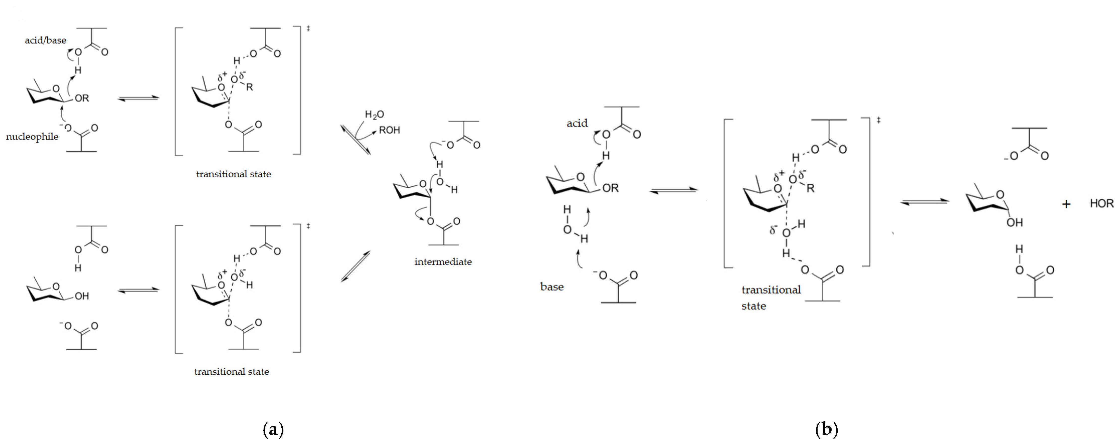 Pharmaceutics 17 01538 g004 Pharmaceutics 17 01538 g004