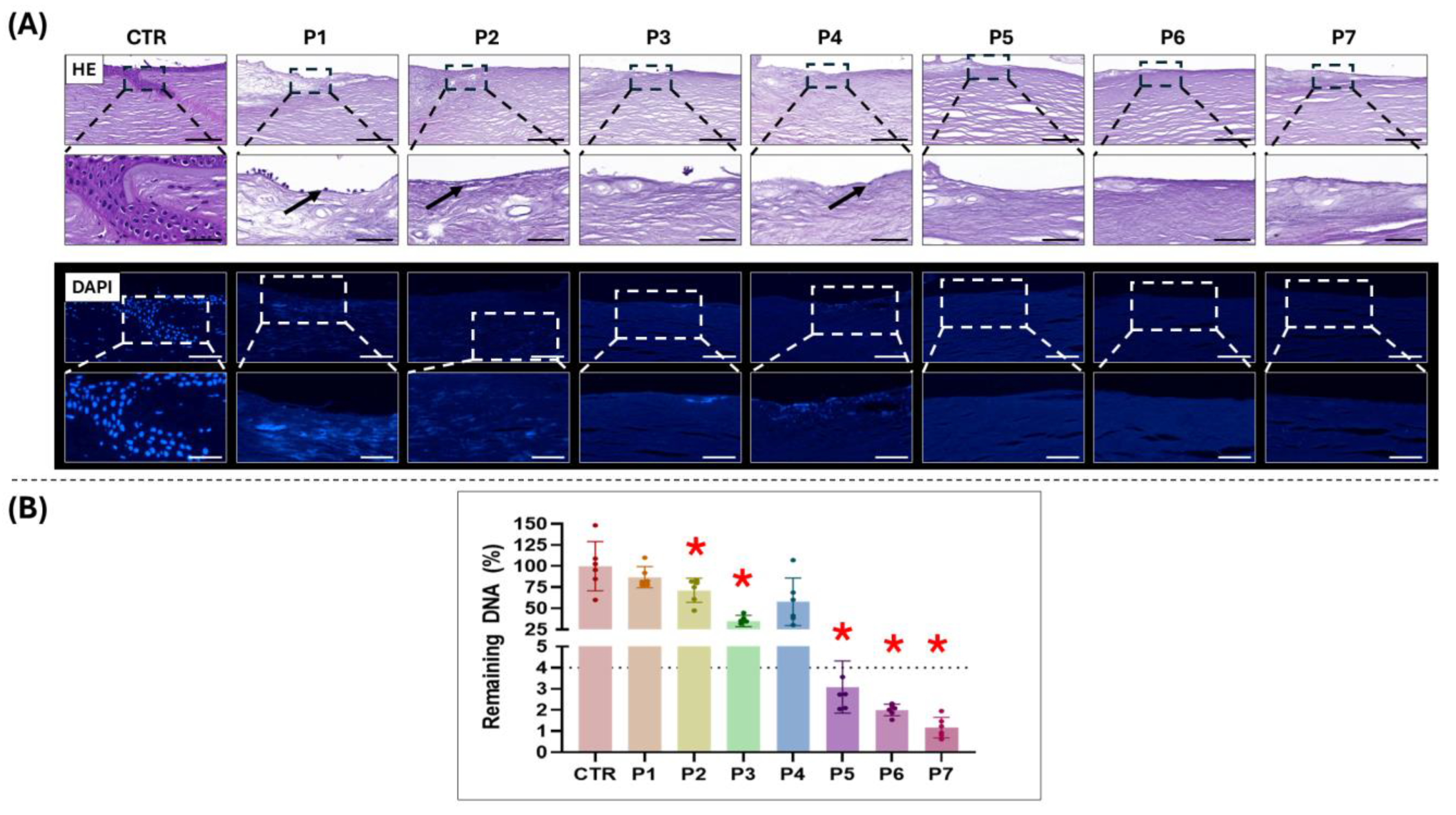 Pharmaceutics 17 01540 g001 Pharmaceutics 17 01540 g001