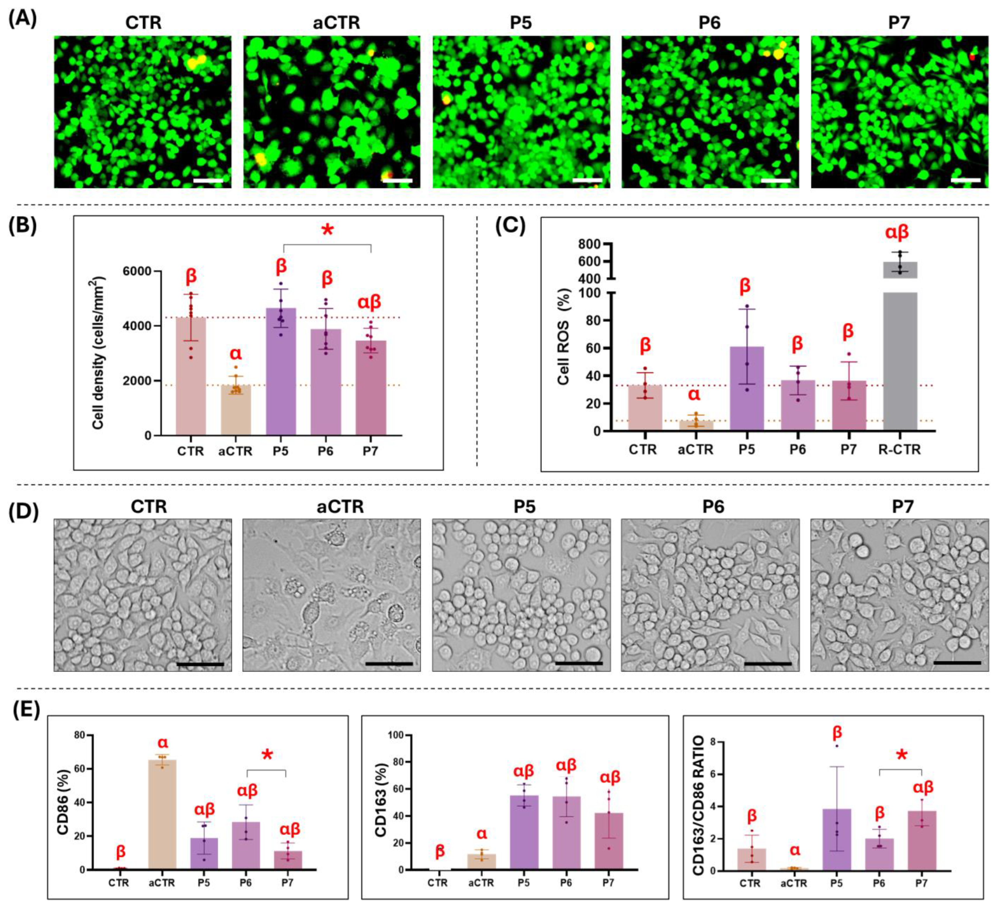 Pharmaceutics 17 01540 g003 Pharmaceutics 17 01540 g003