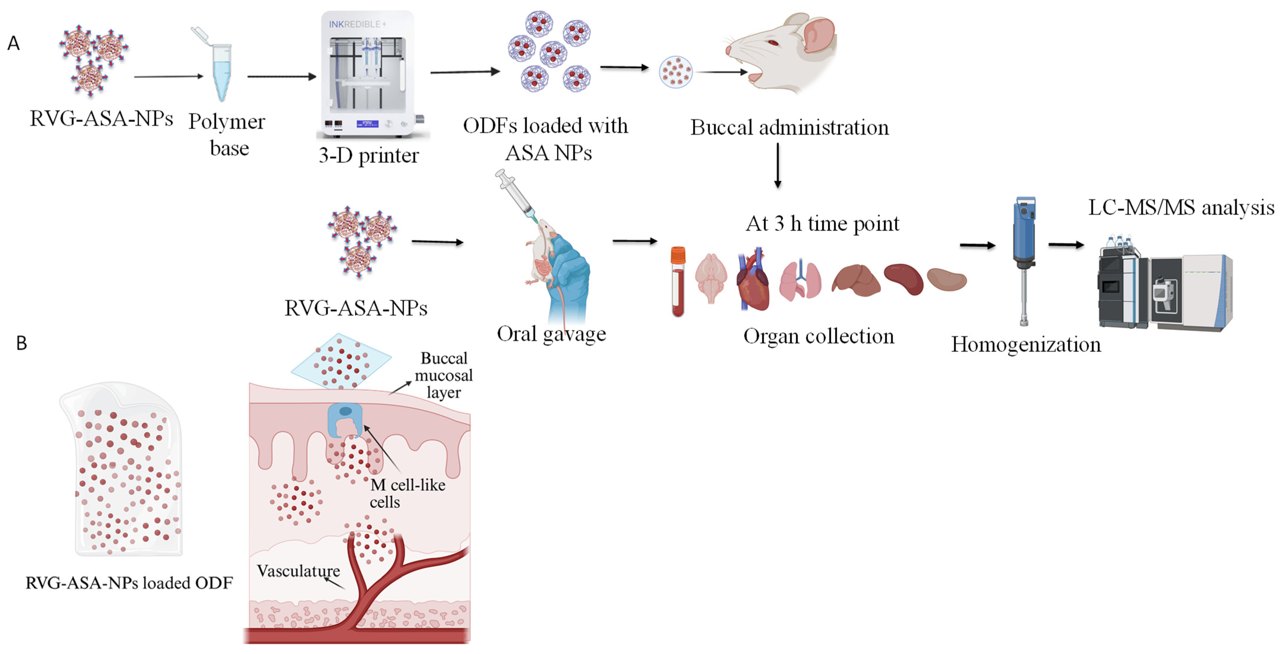 Pharmaceutics 17 01547 g001