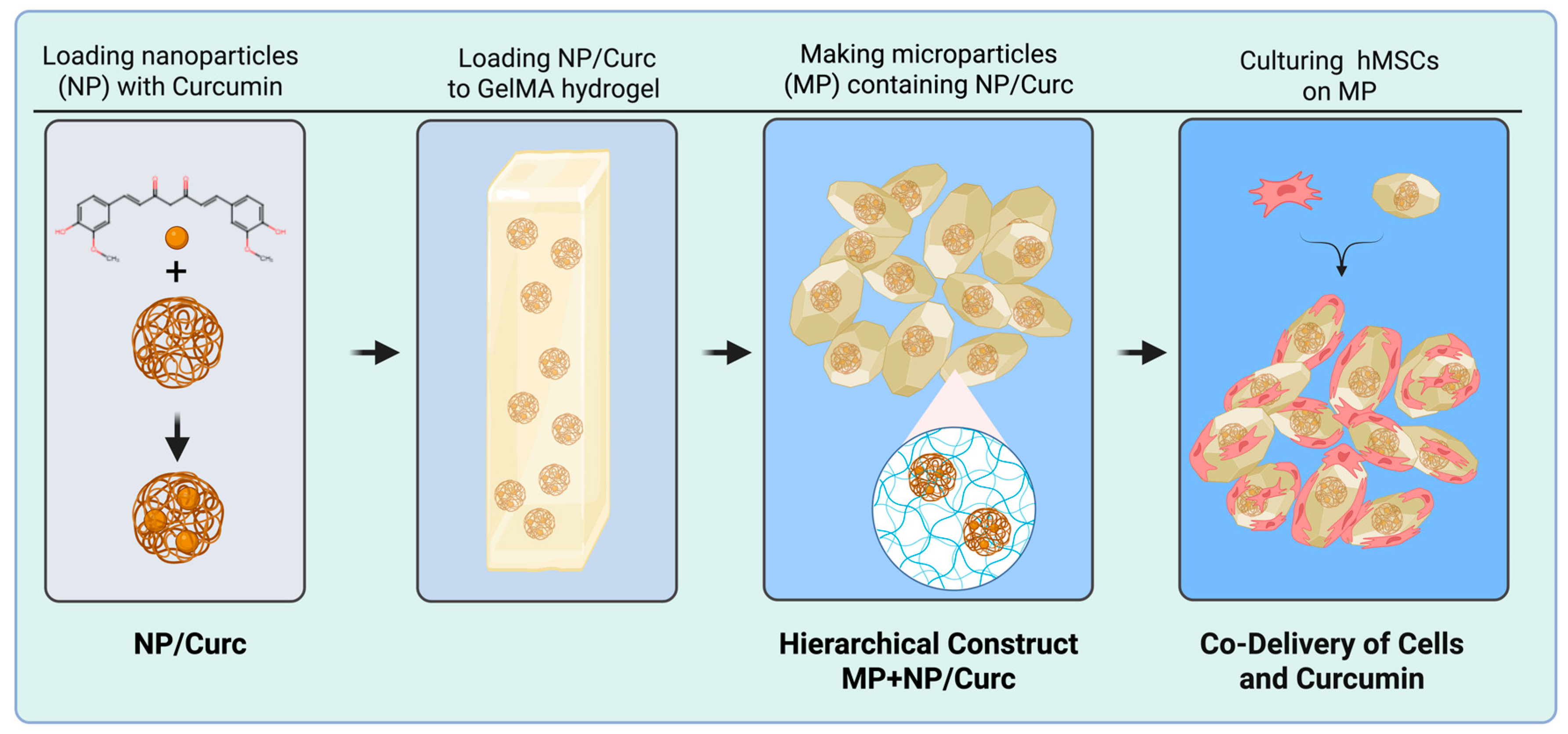 Pharmaceutics 17 01549 g001