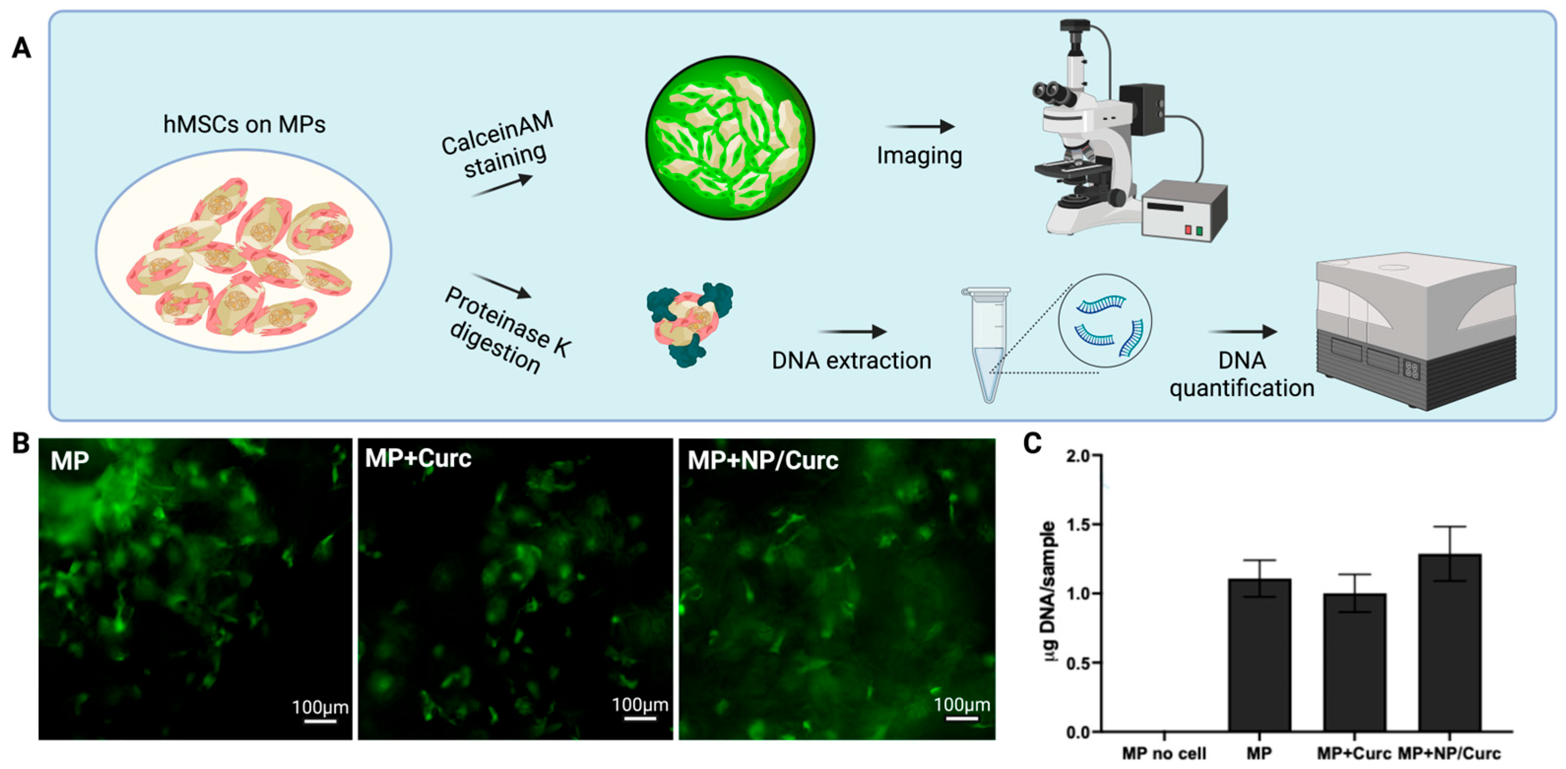 Pharmaceutics 17 01549 g004