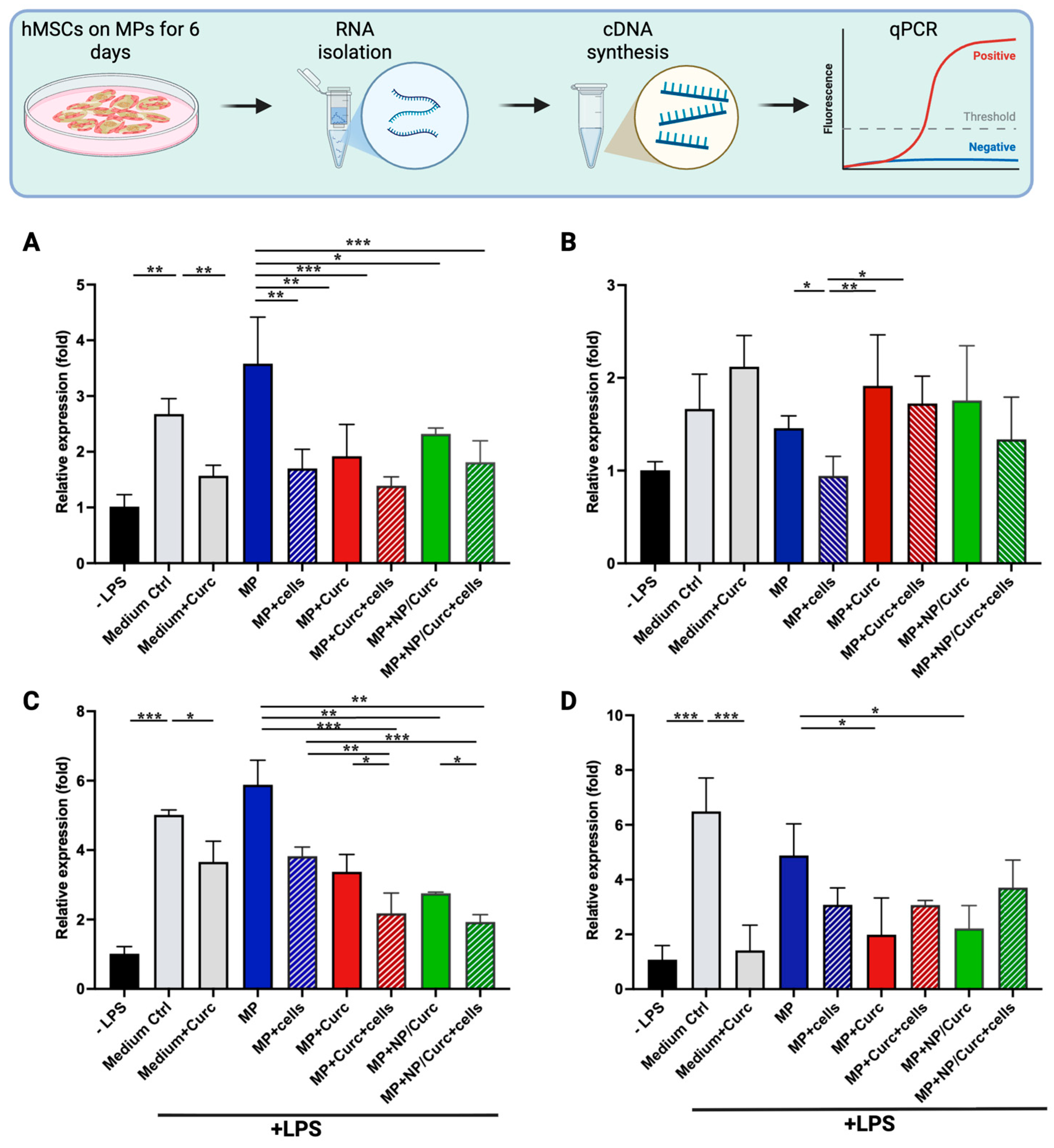 Pharmaceutics 17 01549 g005