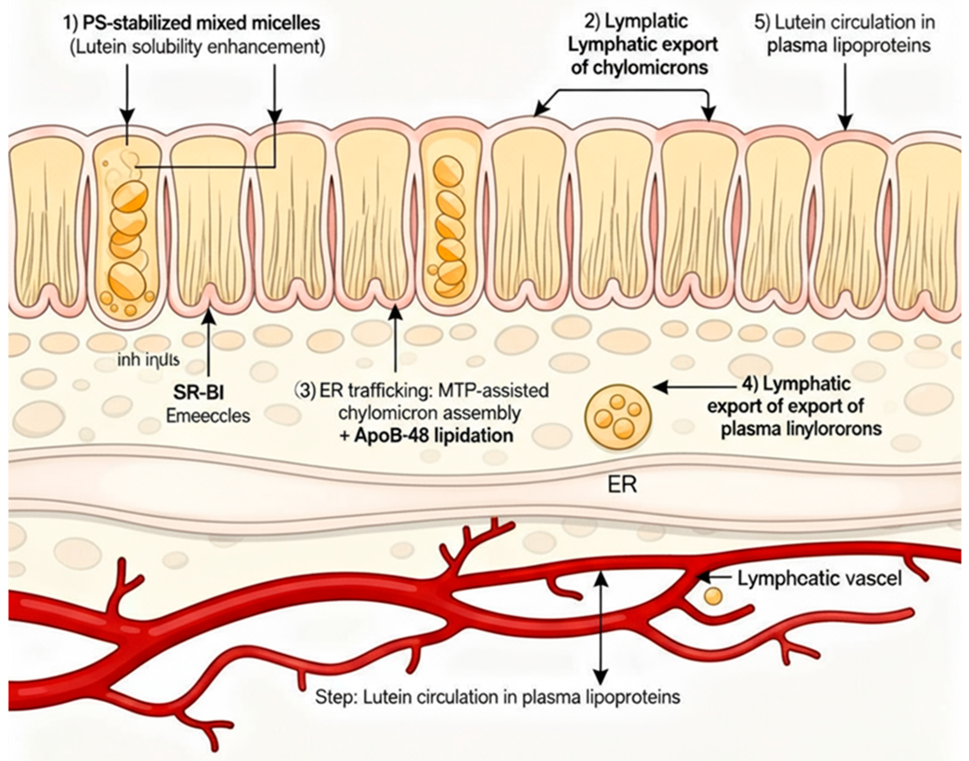 Pharmaceutics 17 01552 g007