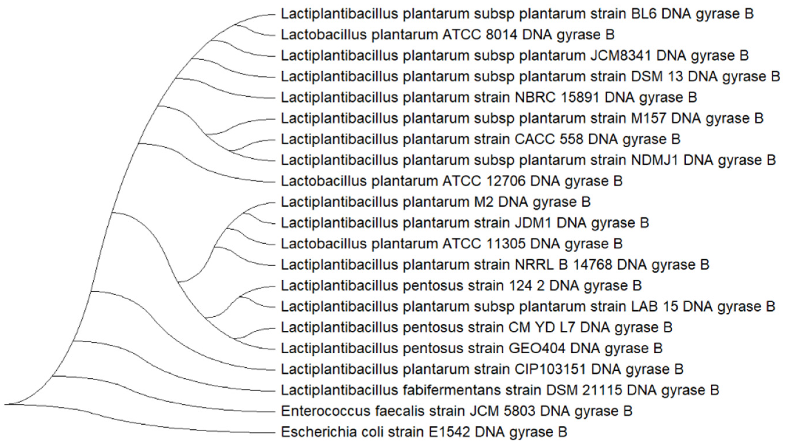Pharmaceutics 17 01557 g005