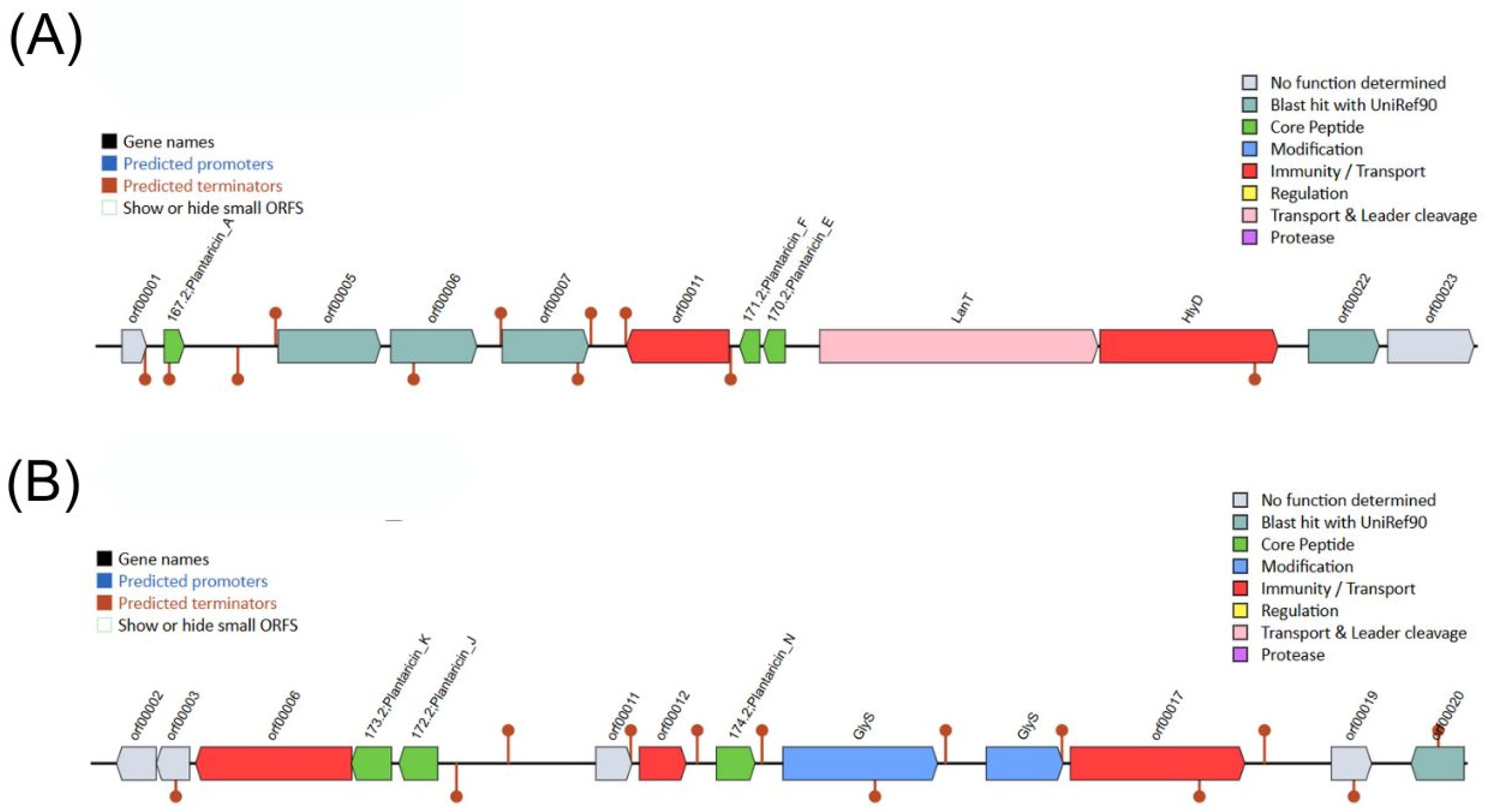 Pharmaceutics 17 01557 g008