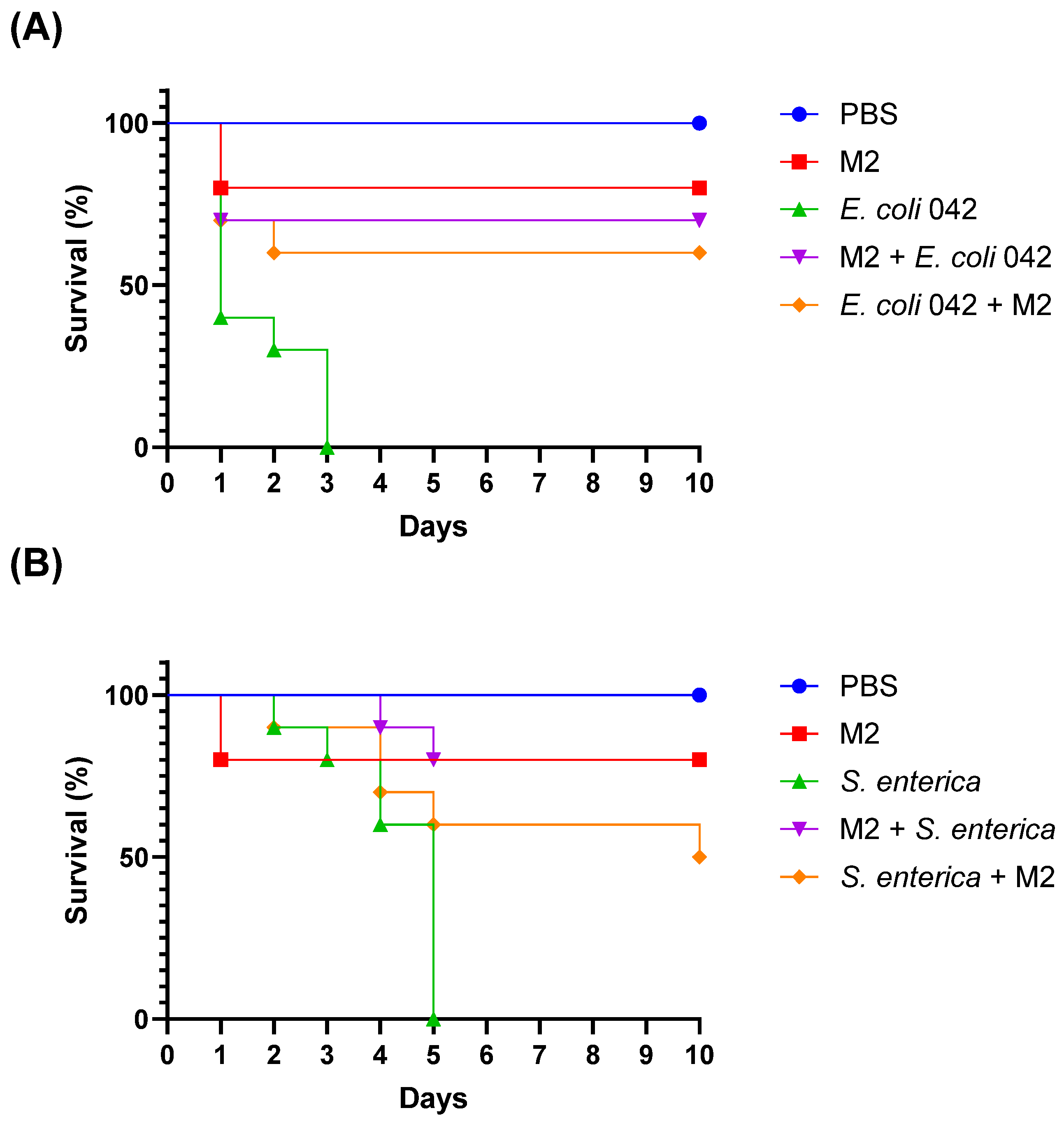 Pharmaceutics 17 01557 g009