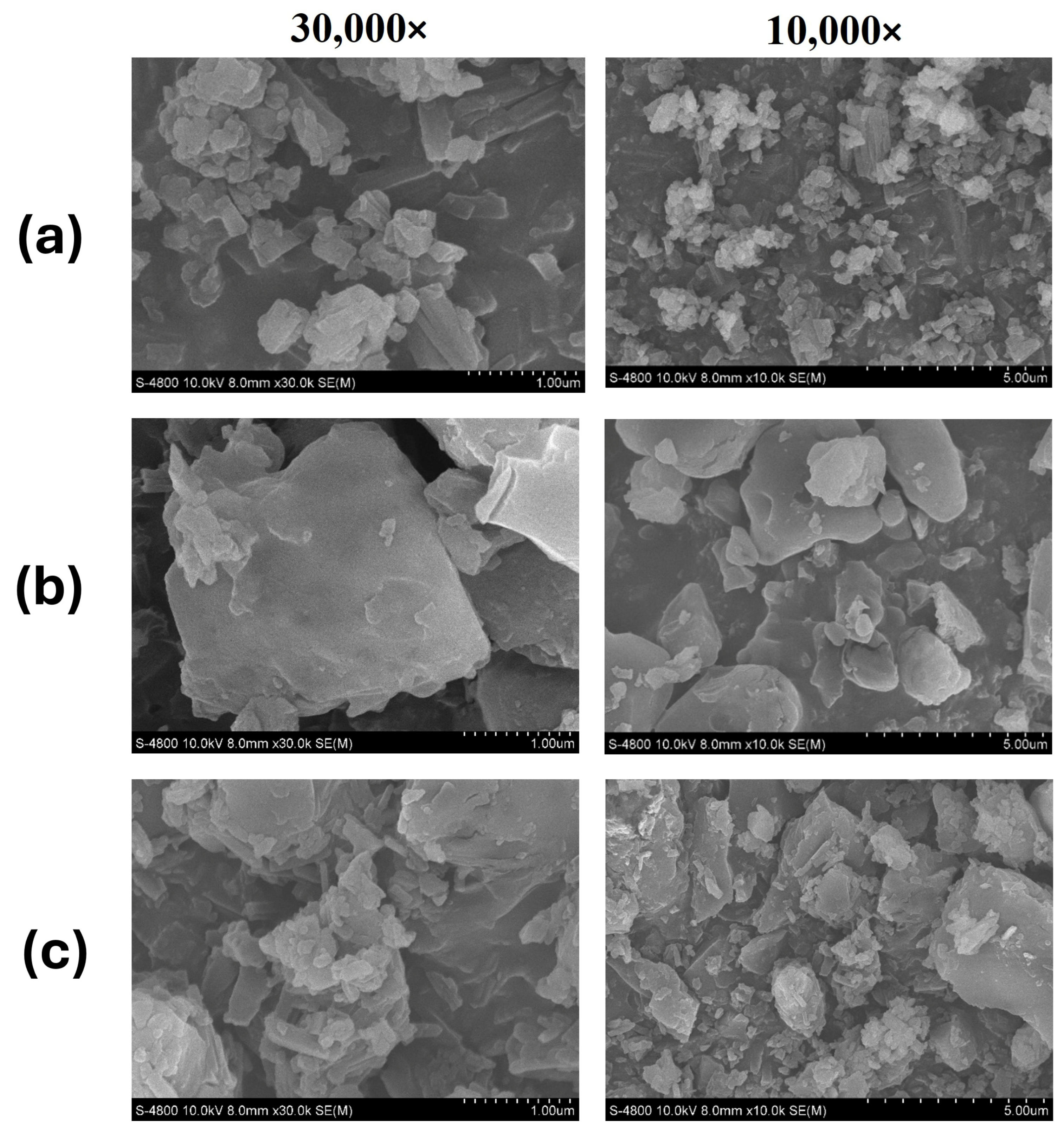 Pharmaceutics 17 01559 g008