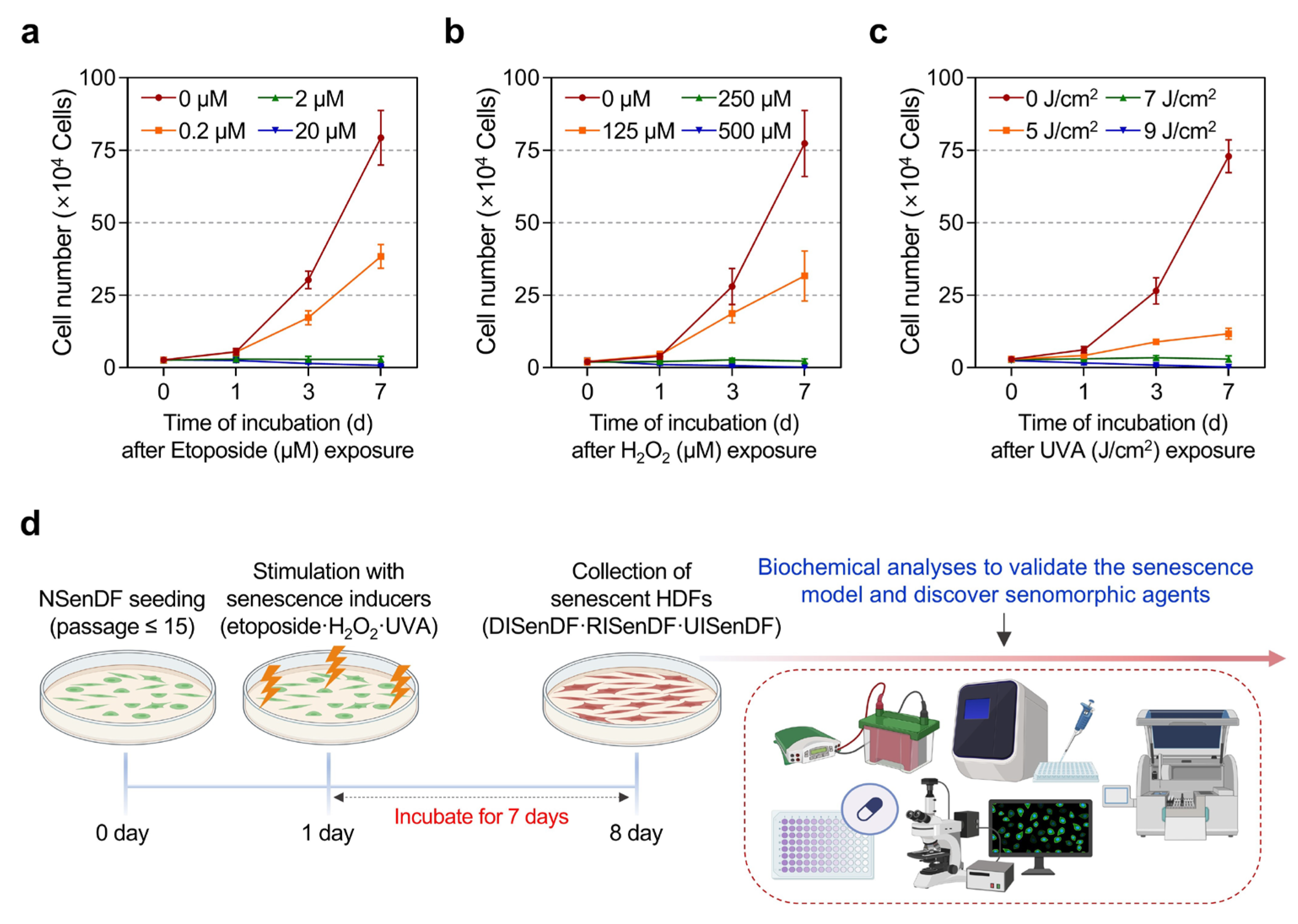 Pharmaceutics 17 01560 g001 Pharmaceutics 17 01560 g001