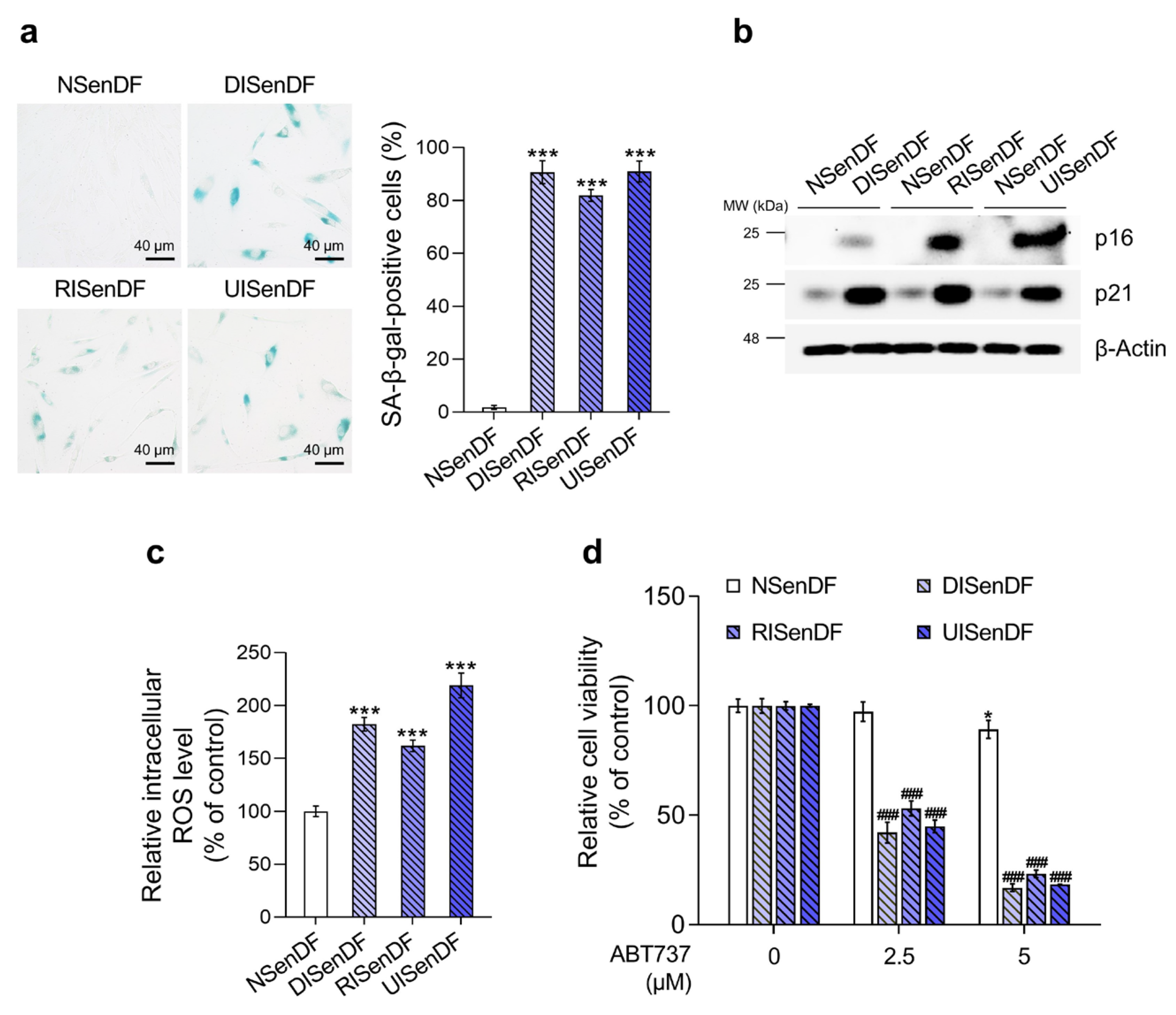Pharmaceutics 17 01560 g002 Pharmaceutics 17 01560 g002
