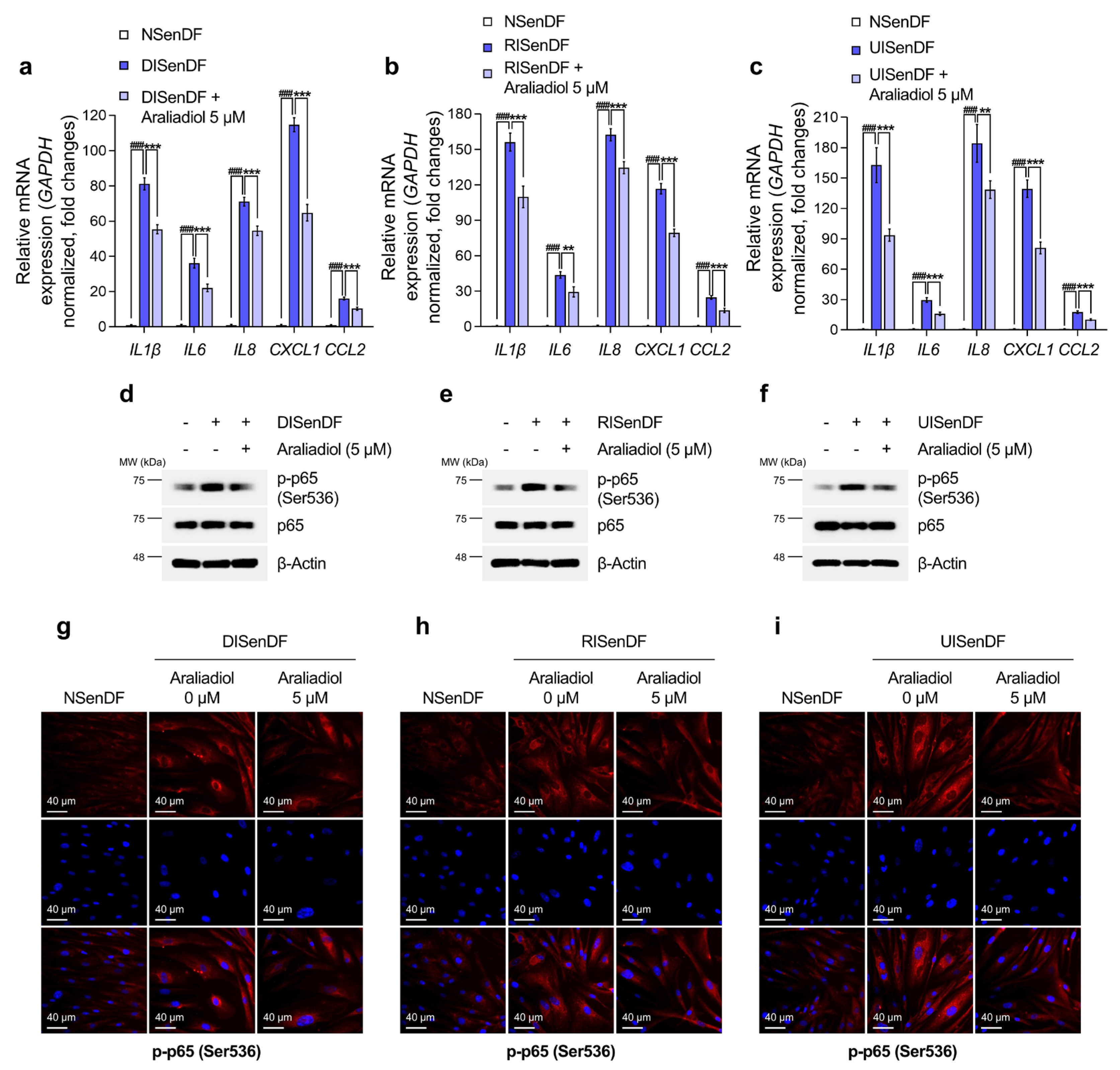 Pharmaceutics 17 01560 g003 Pharmaceutics 17 01560 g003