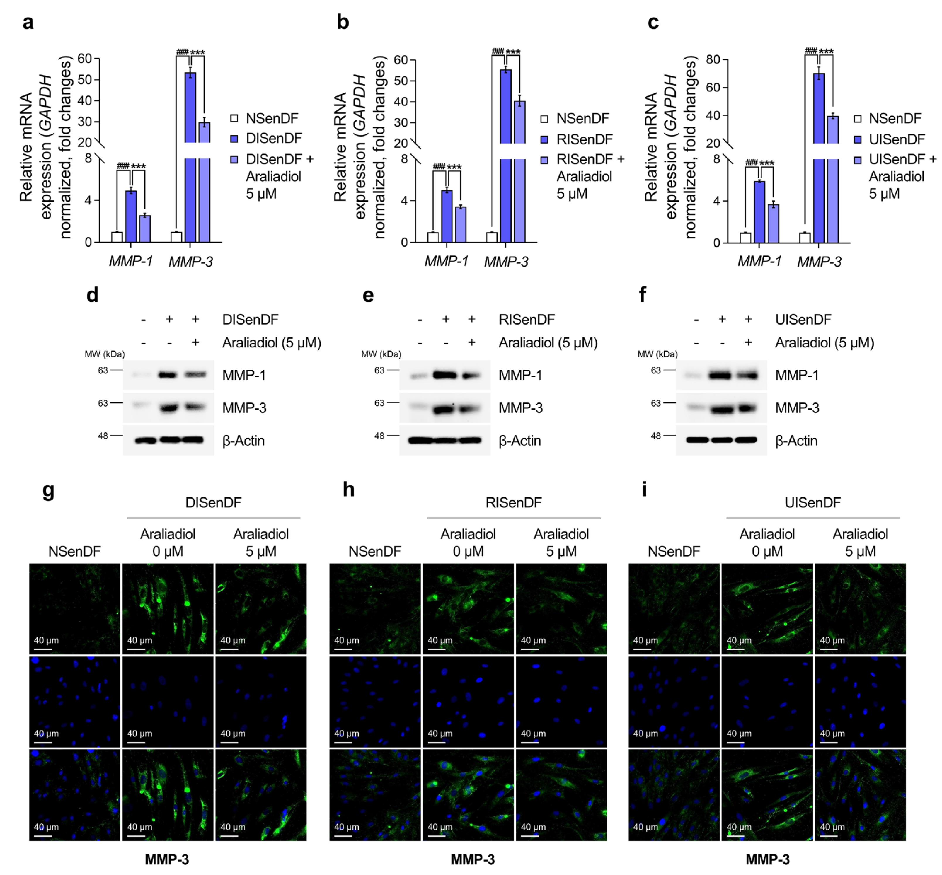 Pharmaceutics 17 01560 g004 Pharmaceutics 17 01560 g004