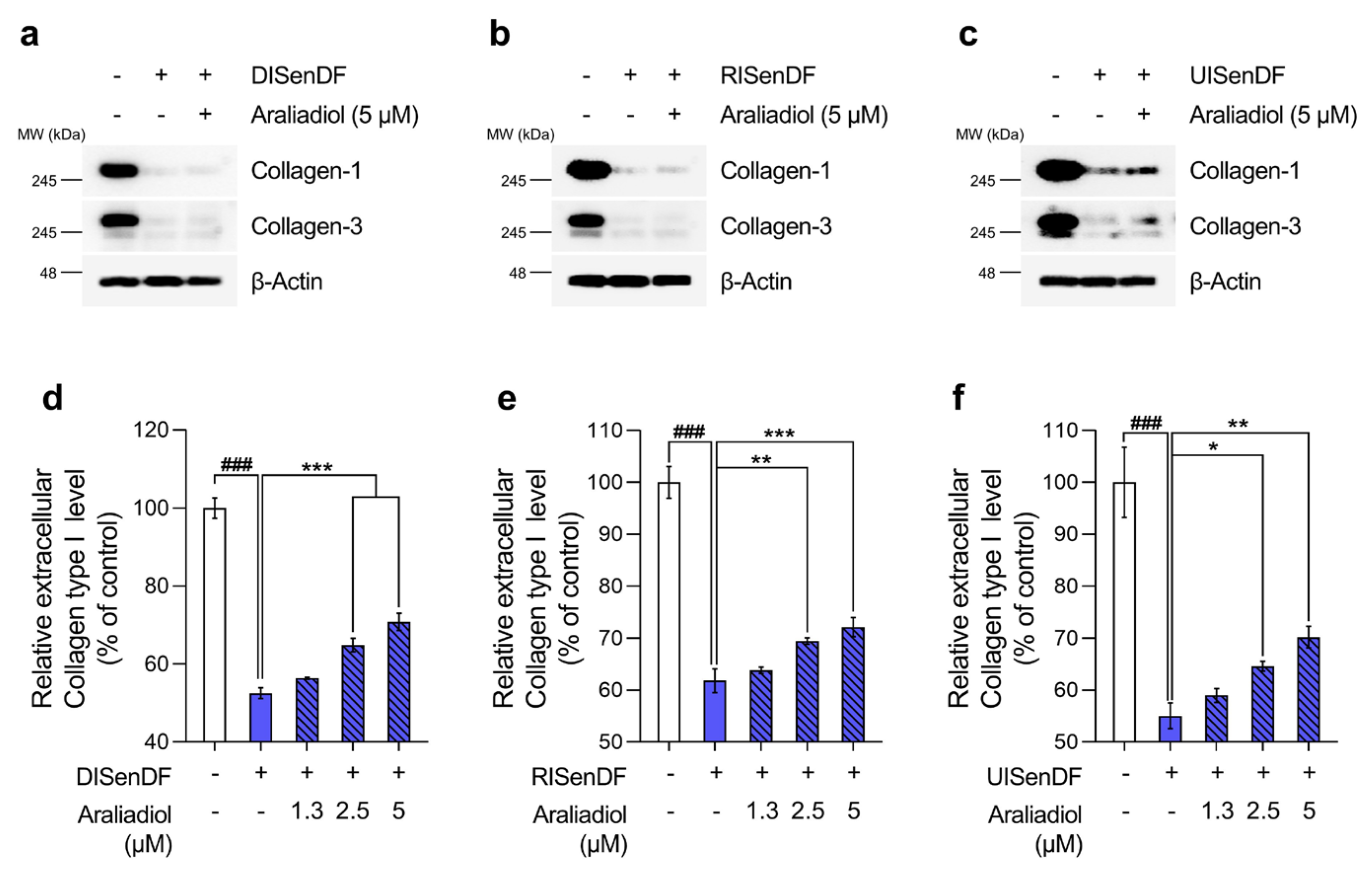 Pharmaceutics 17 01560 g006 Pharmaceutics 17 01560 g006