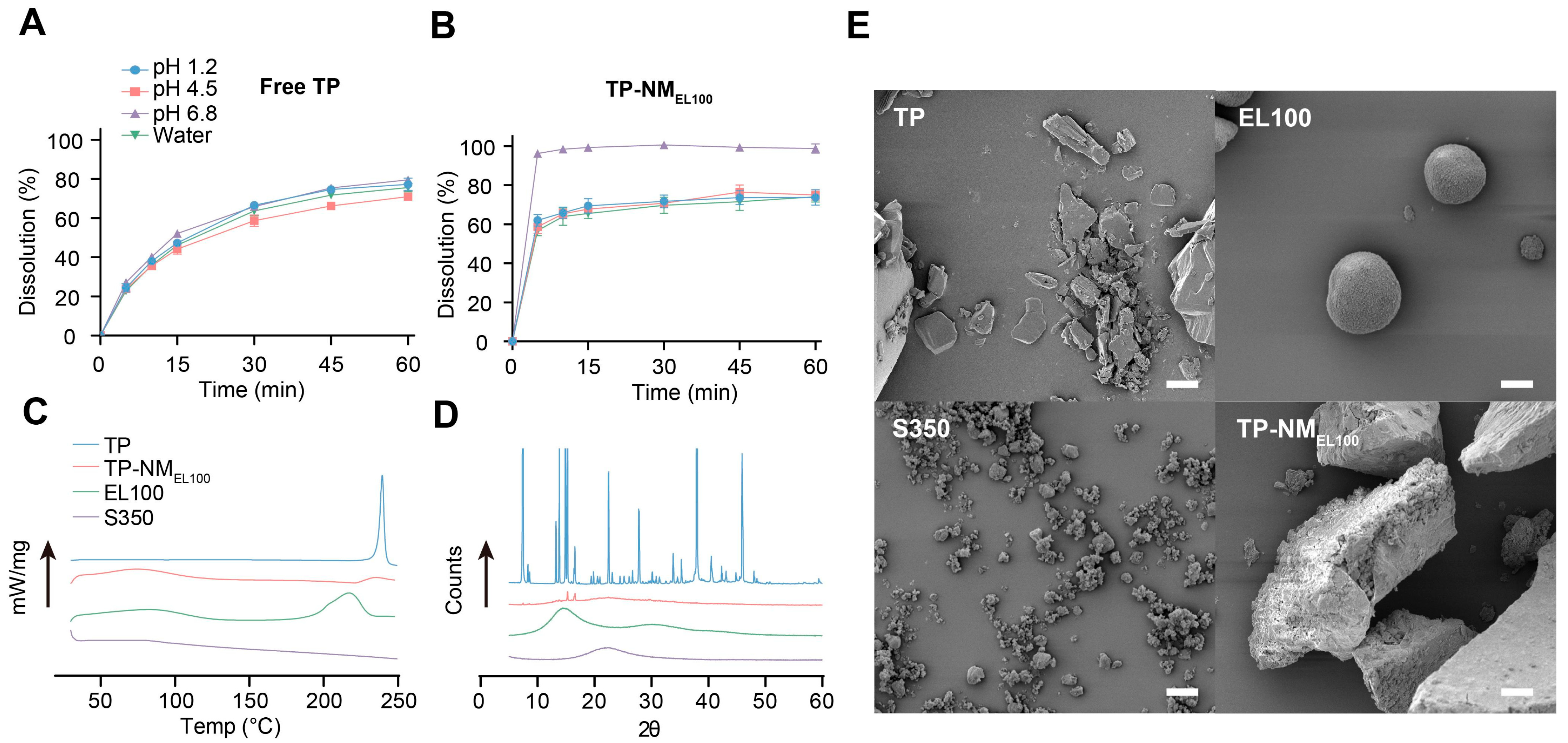 Pharmaceutics 17 01567 g002
