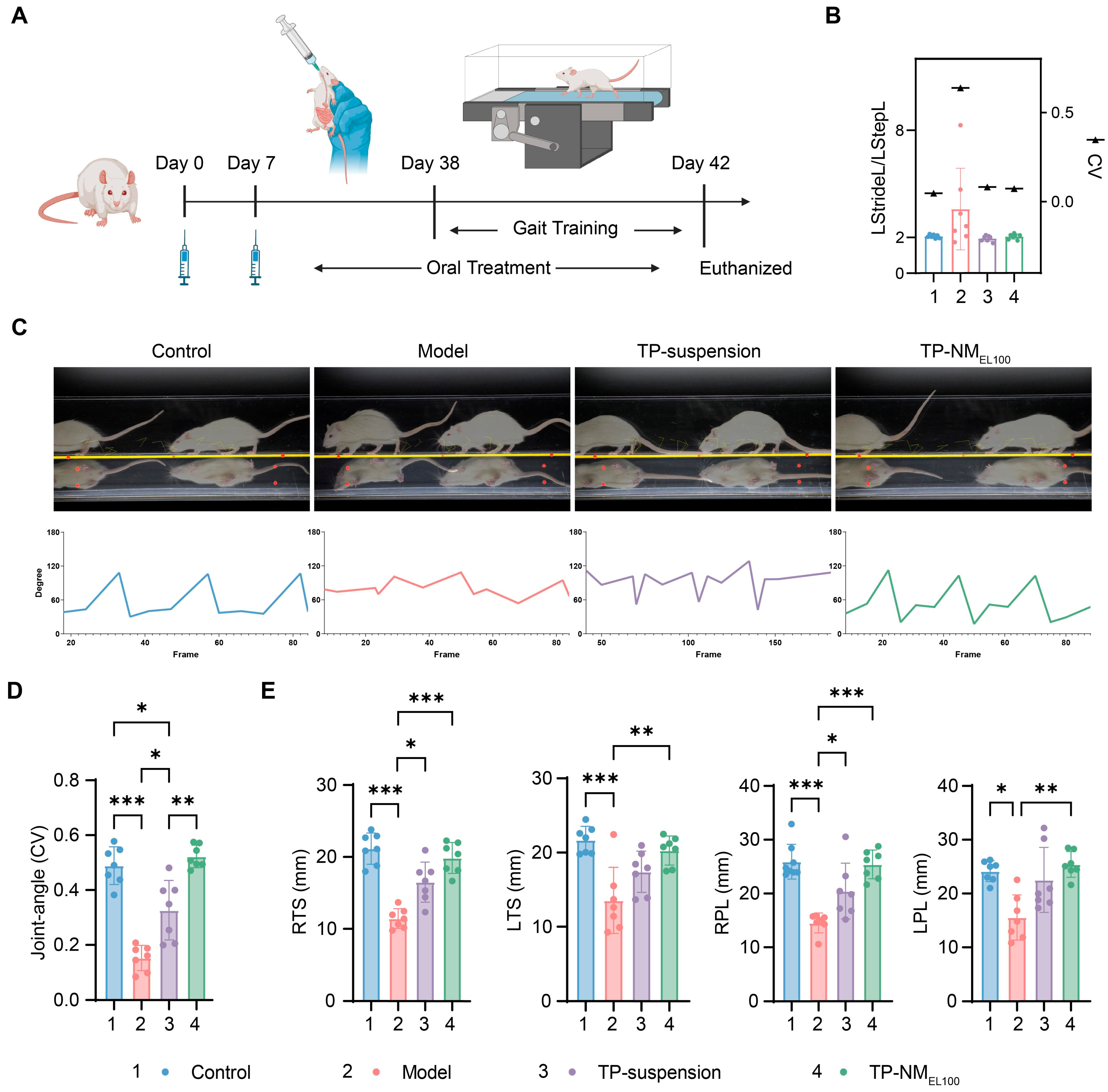 Pharmaceutics 17 01567 g006
