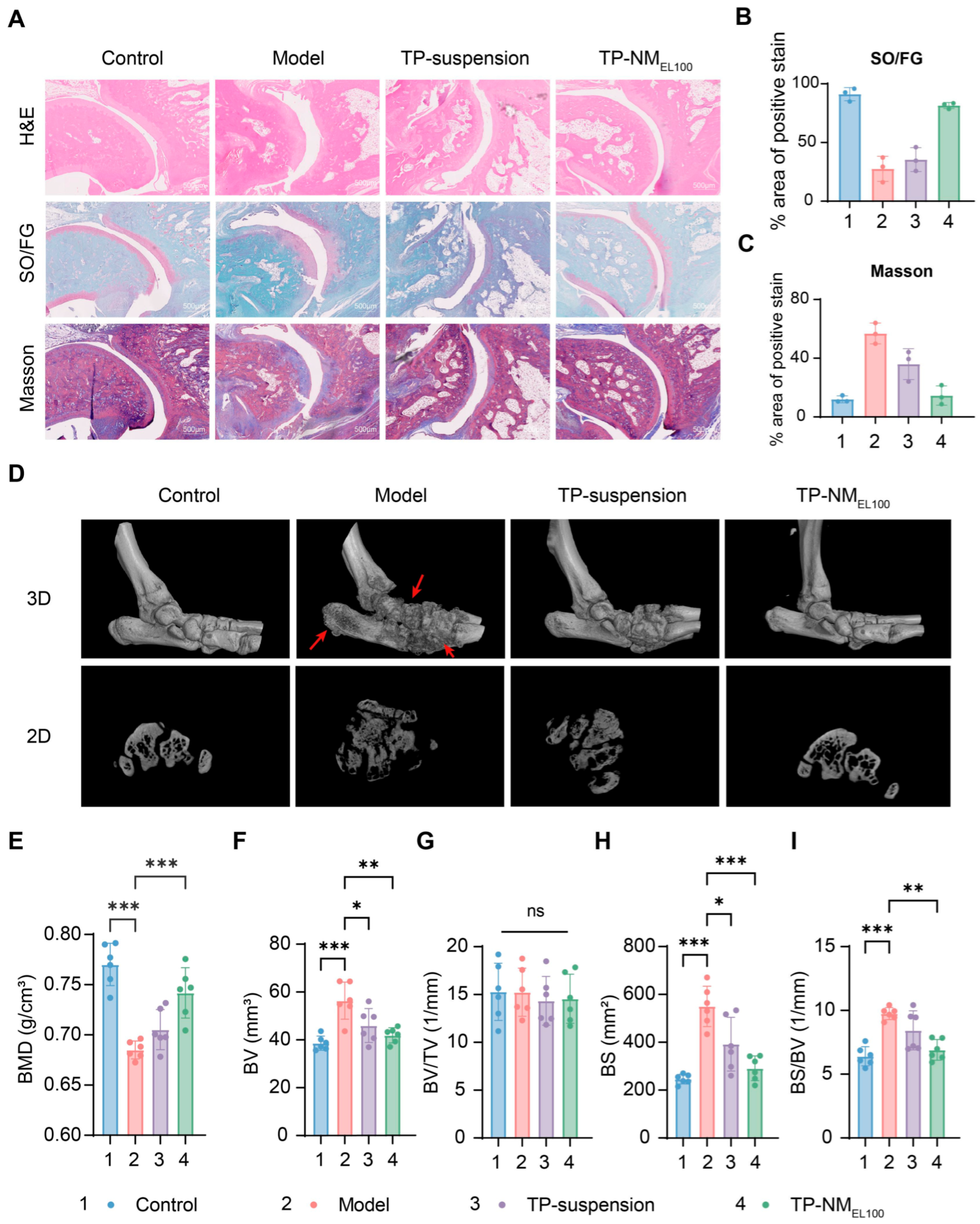 Pharmaceutics 17 01567 g007