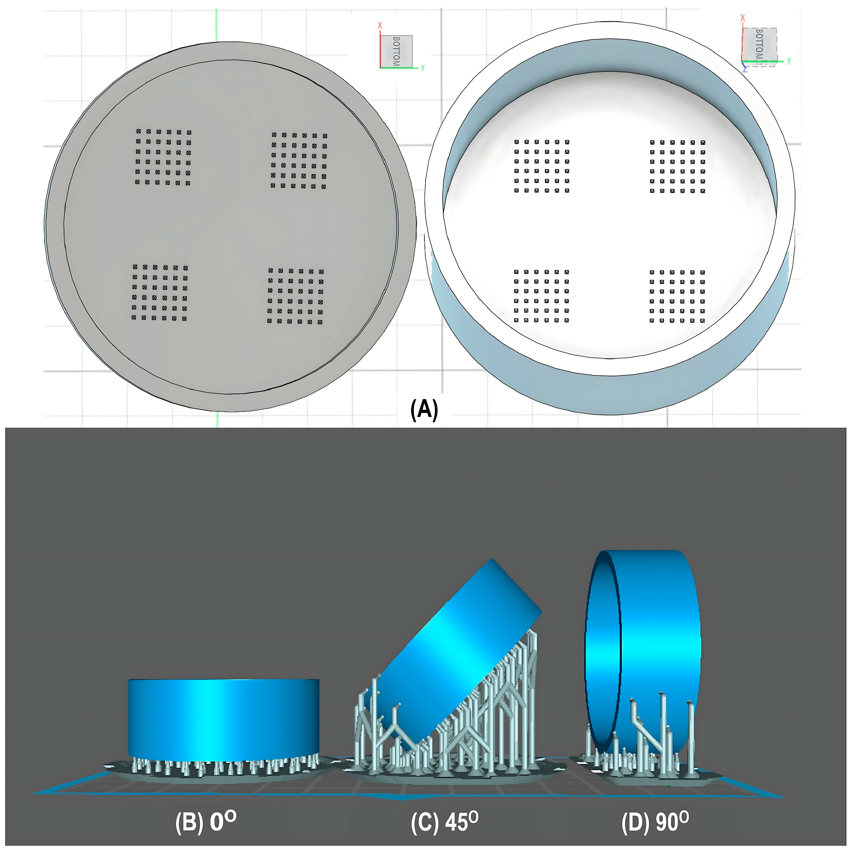 Pharmaceutics 17 01571 g001