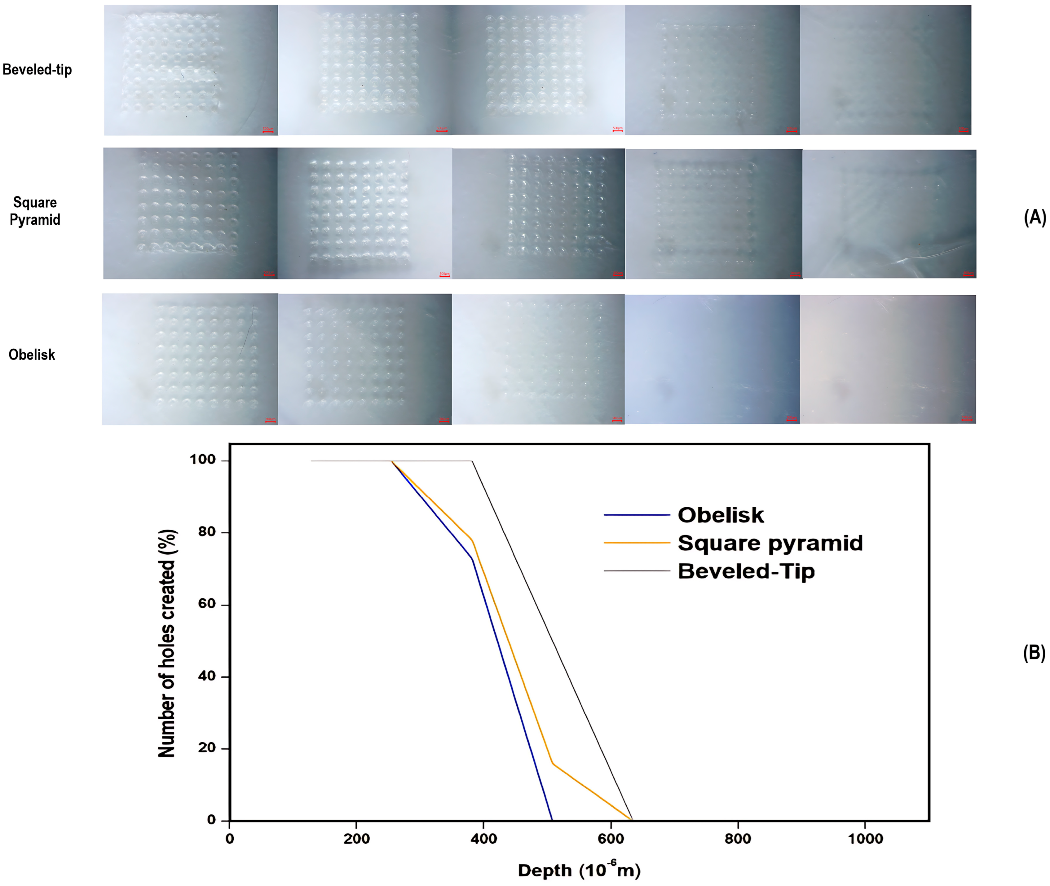 Pharmaceutics 17 01571 g006