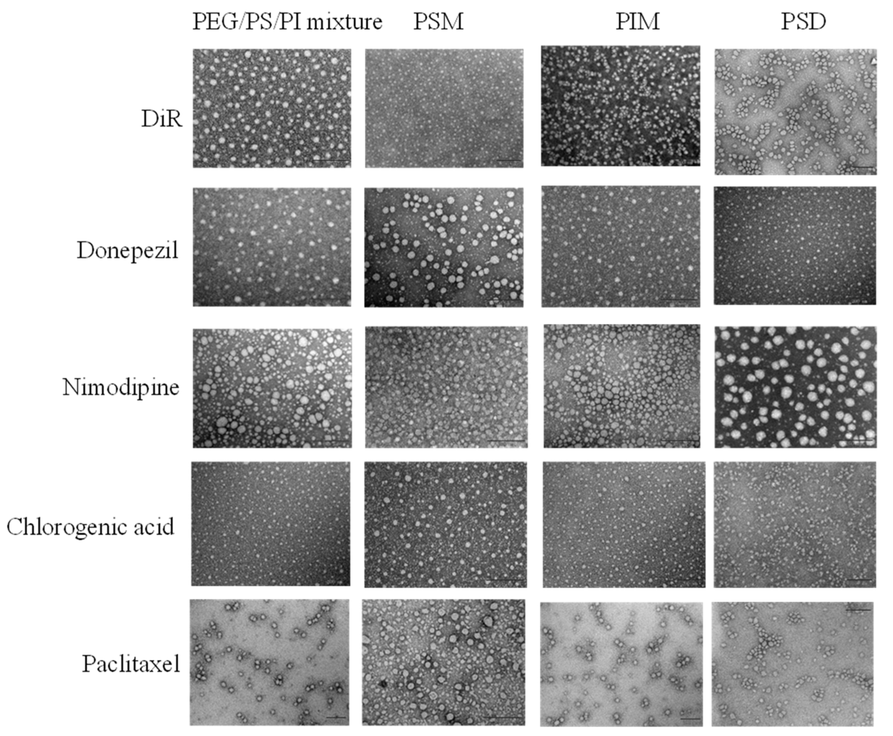 Pharmaceutics 17 01572 g003