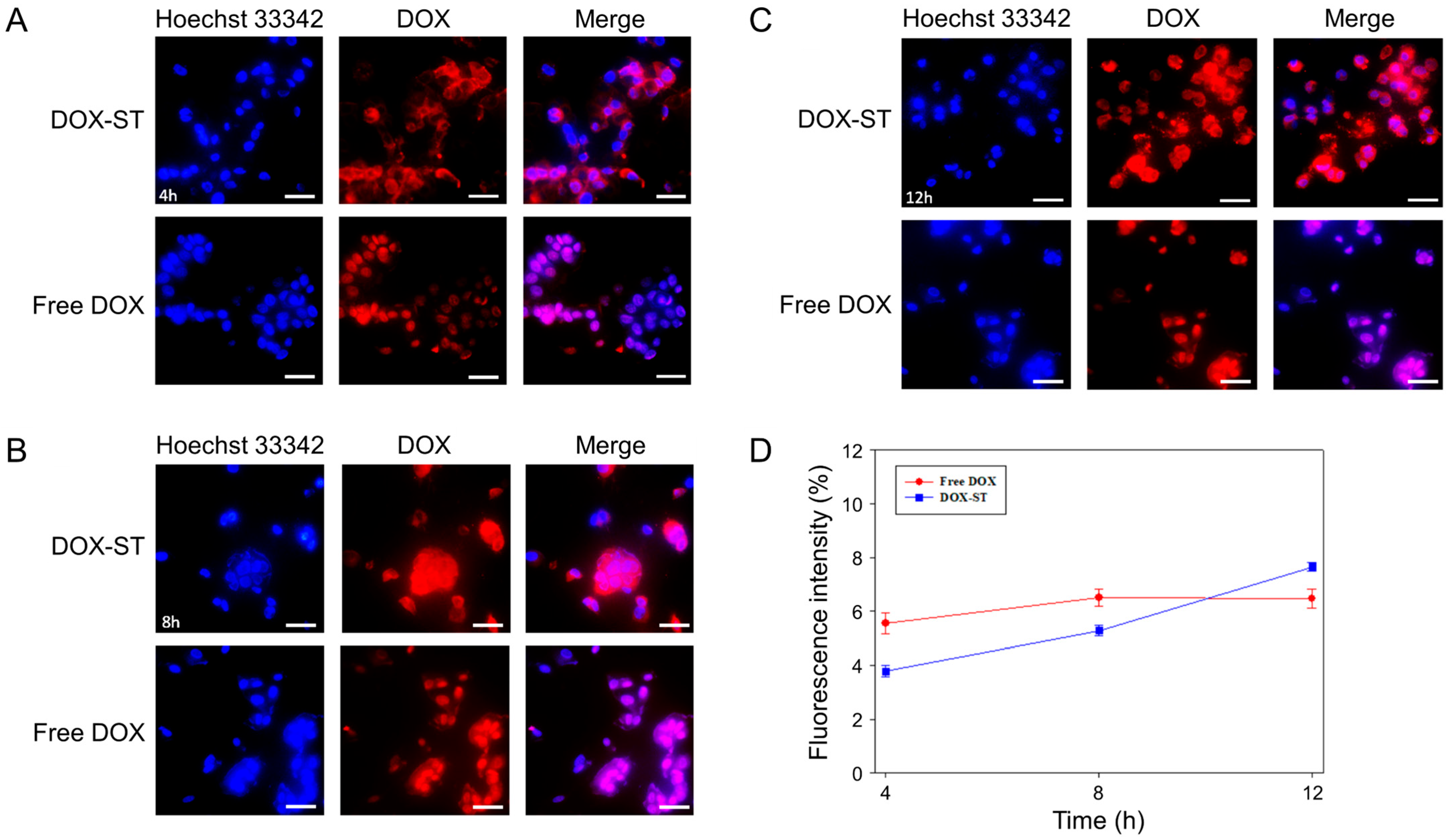 Pharmaceutics 17 01574 g006