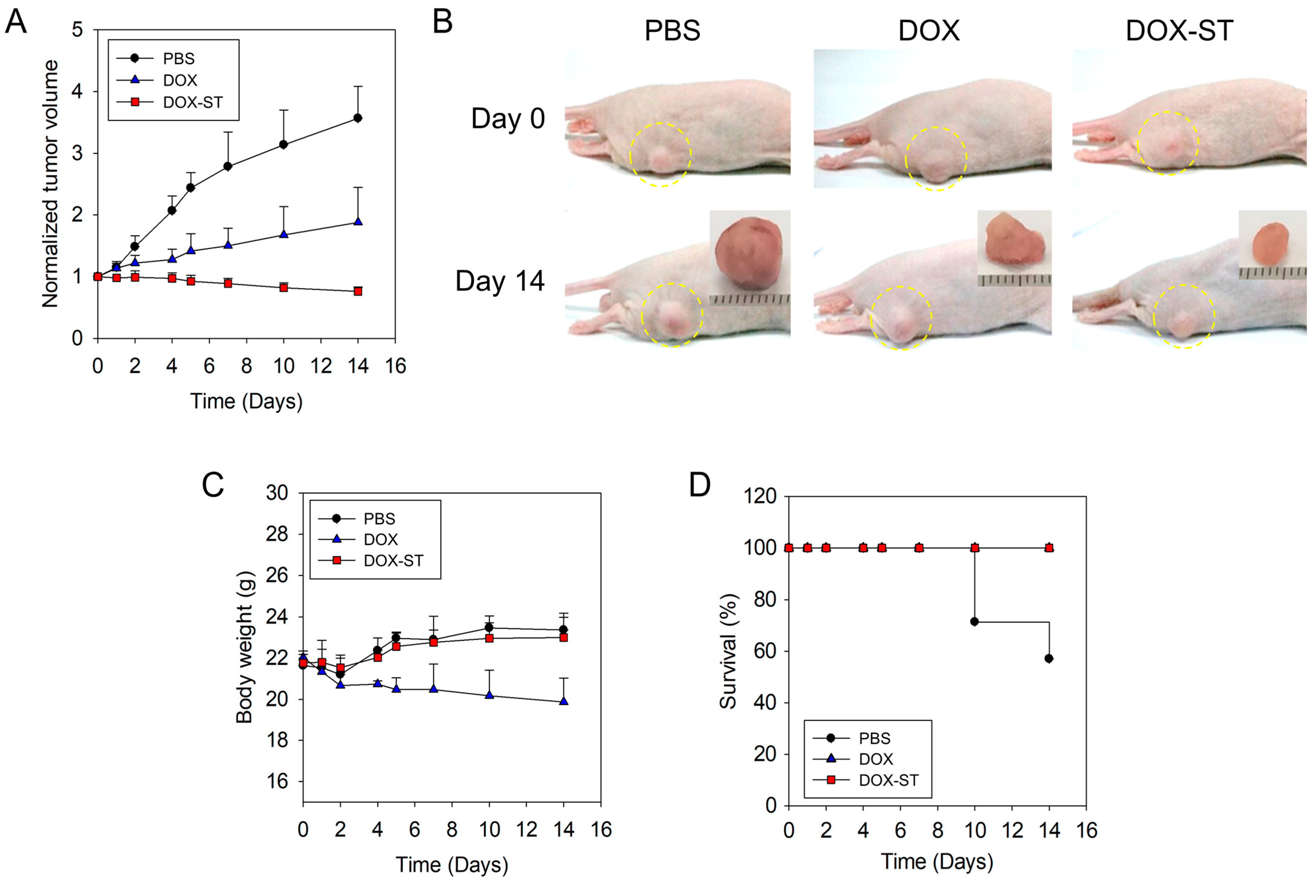 Pharmaceutics 17 01574 g008