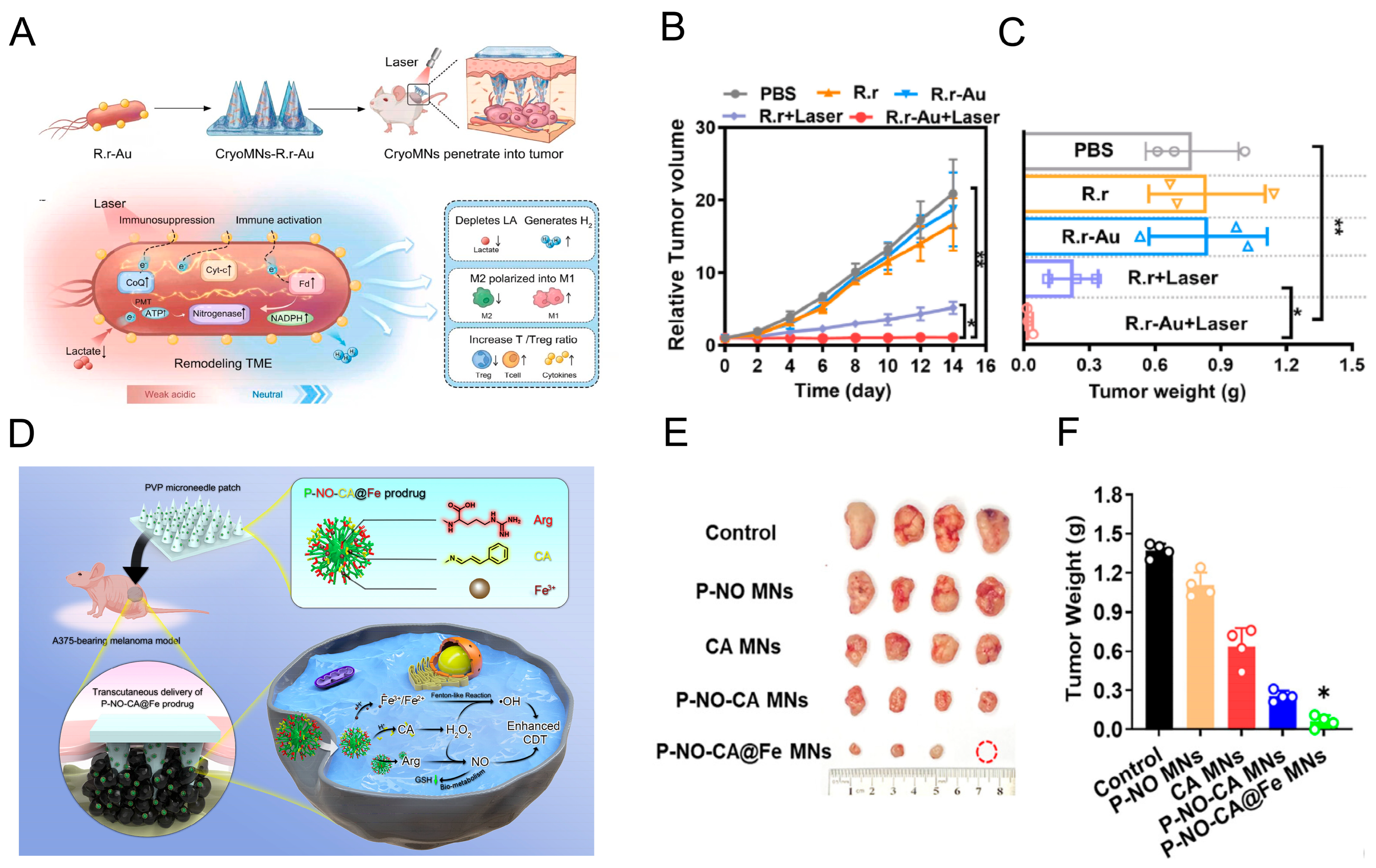 Pharmaceutics 17 01576 g003 Pharmaceutics 17 01576 g003