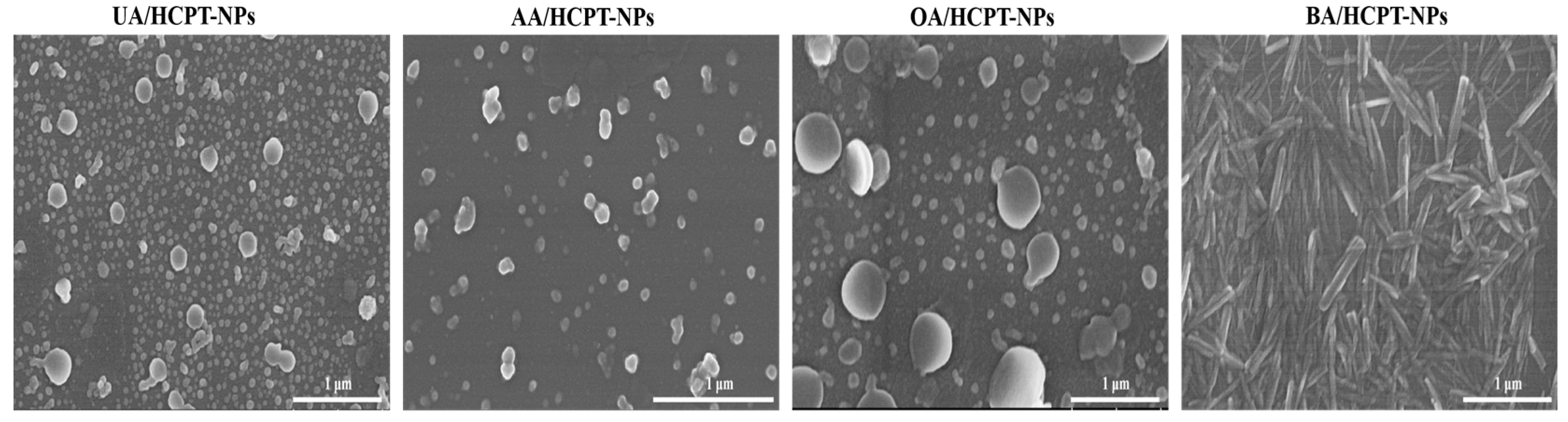 Pharmaceutics 17 01577 g005 Pharmaceutics 17 01577 g005