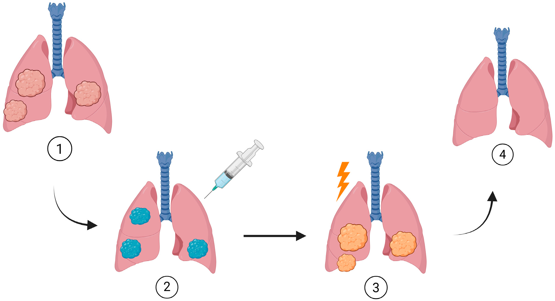 Pharmaceutics 17 01579 g002 Pharmaceutics 17 01579 g002