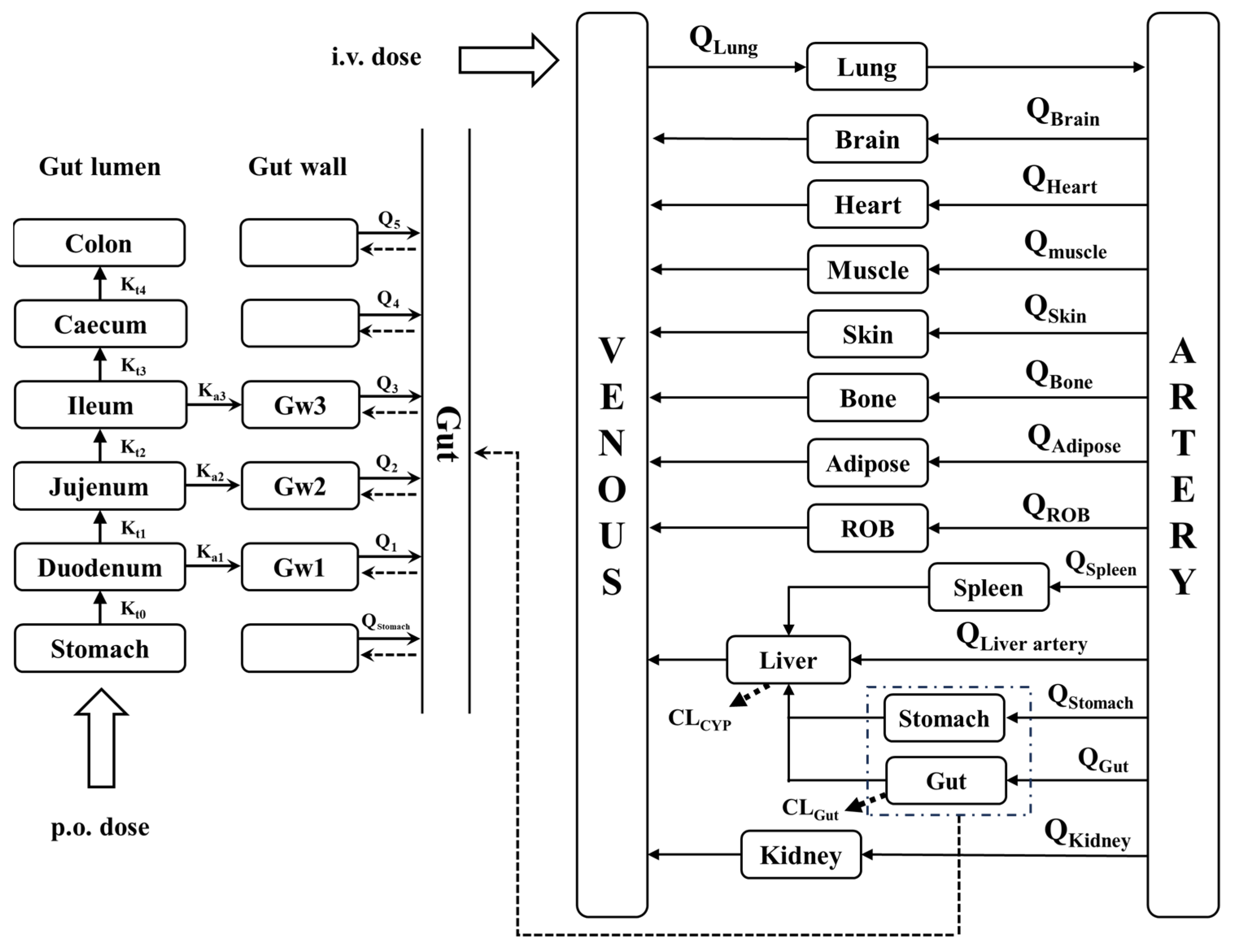 Pharmaceutics 17 01582 g002 Pharmaceutics 17 01582 g002