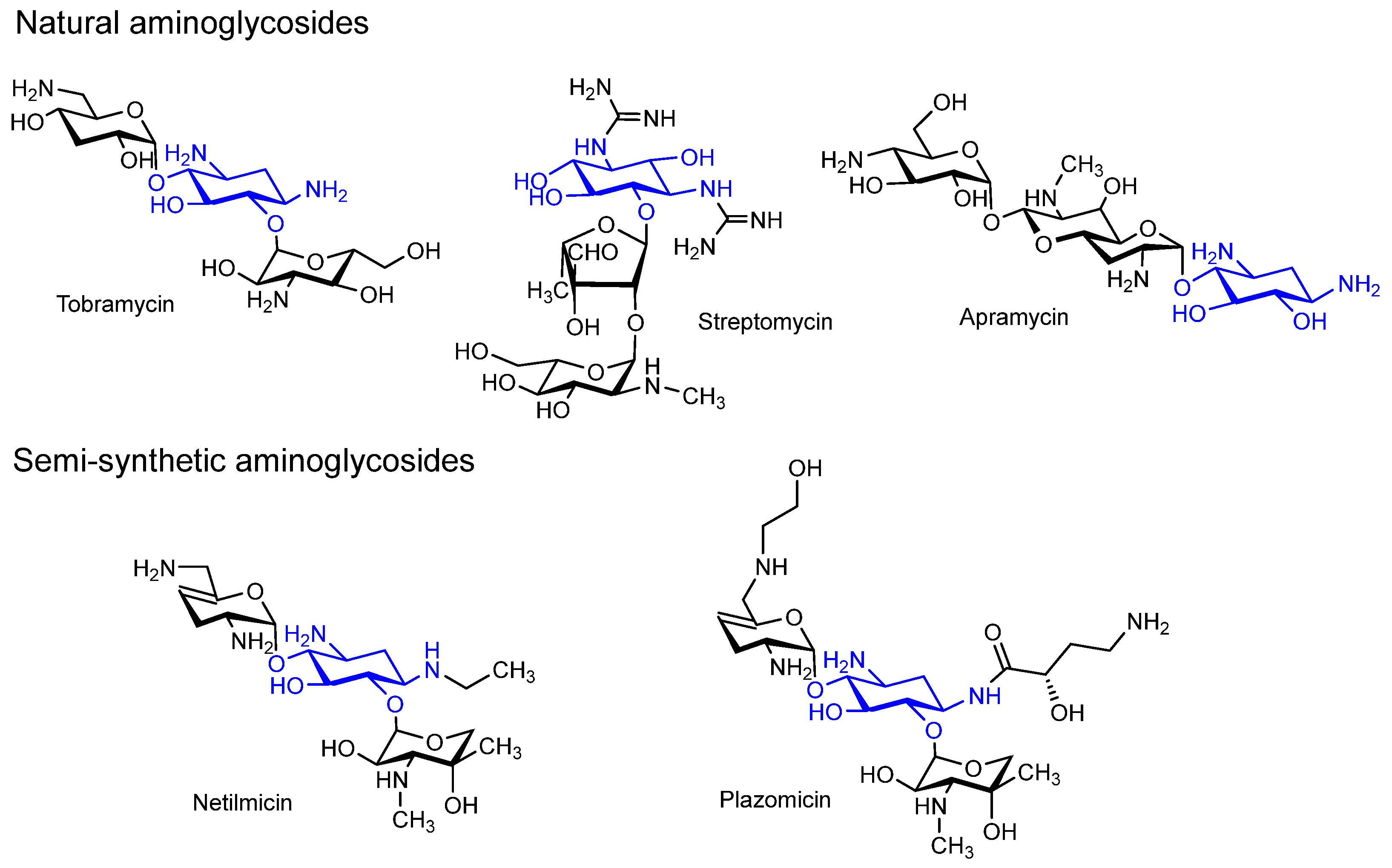 Pharmaceutics 17 01583 g001 Pharmaceutics 17 01583 g001