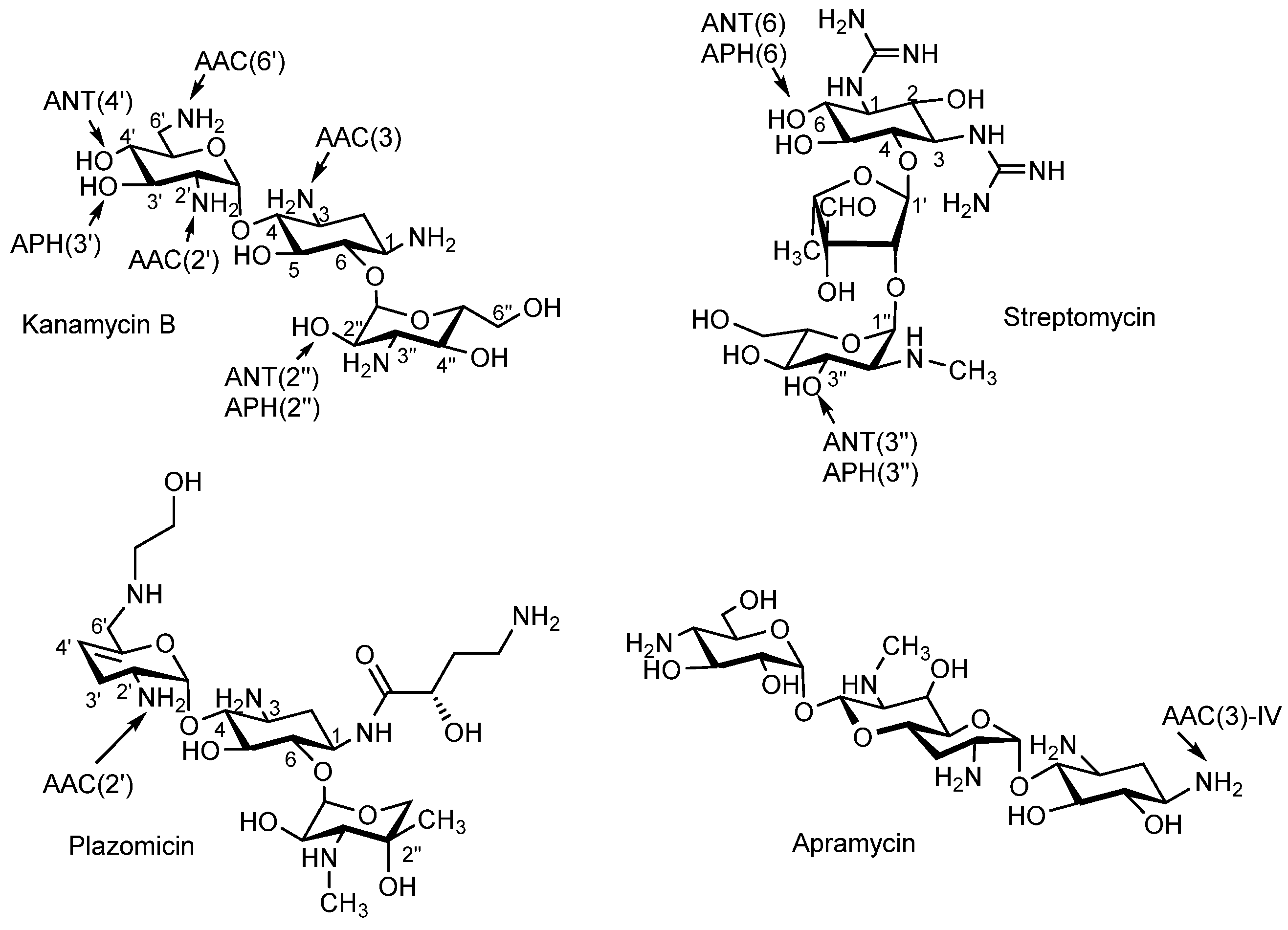 Pharmaceutics 17 01583 g002 Pharmaceutics 17 01583 g002