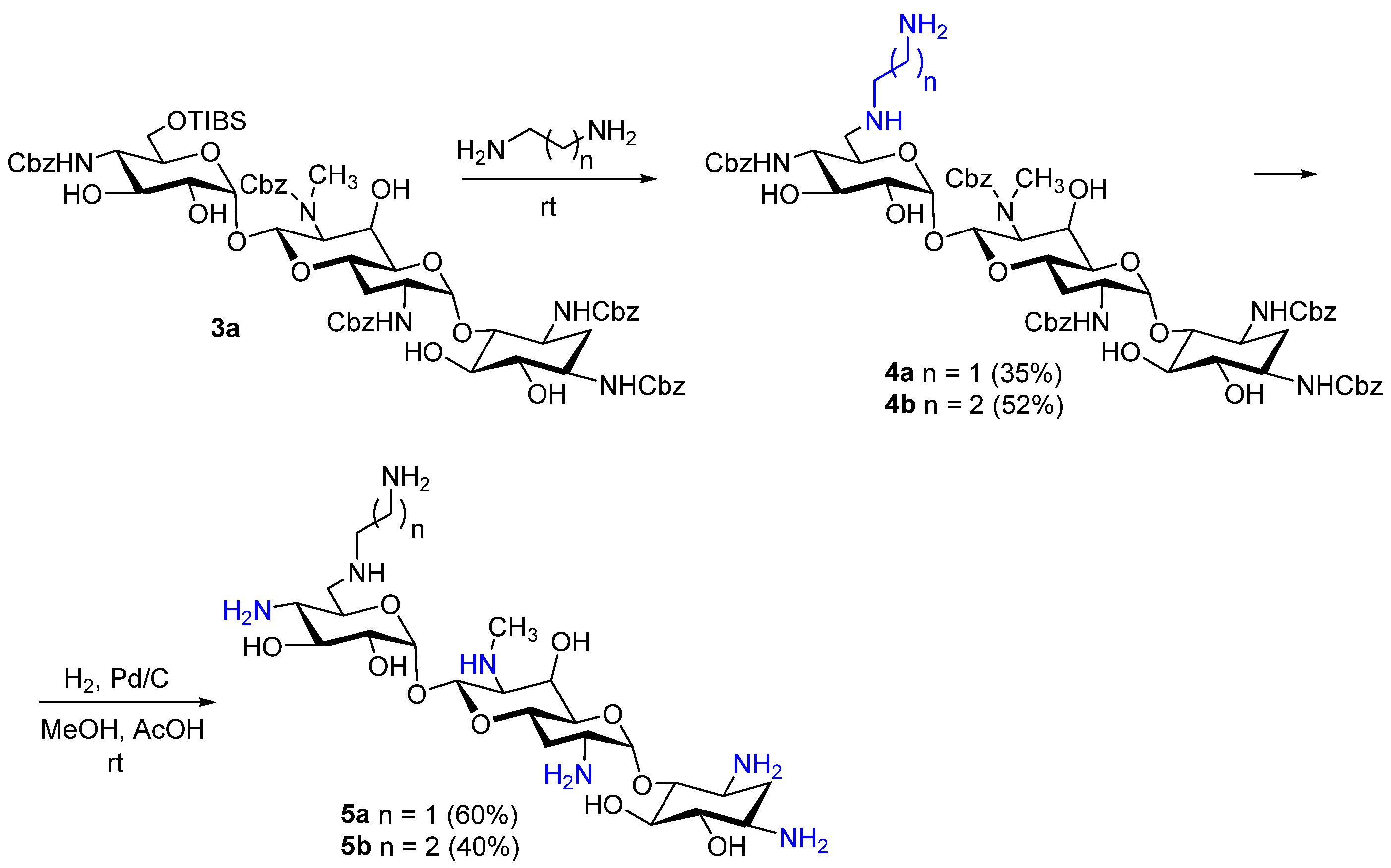 Pharmaceutics 17 01583 sch002 Pharmaceutics 17 01583 sch002
