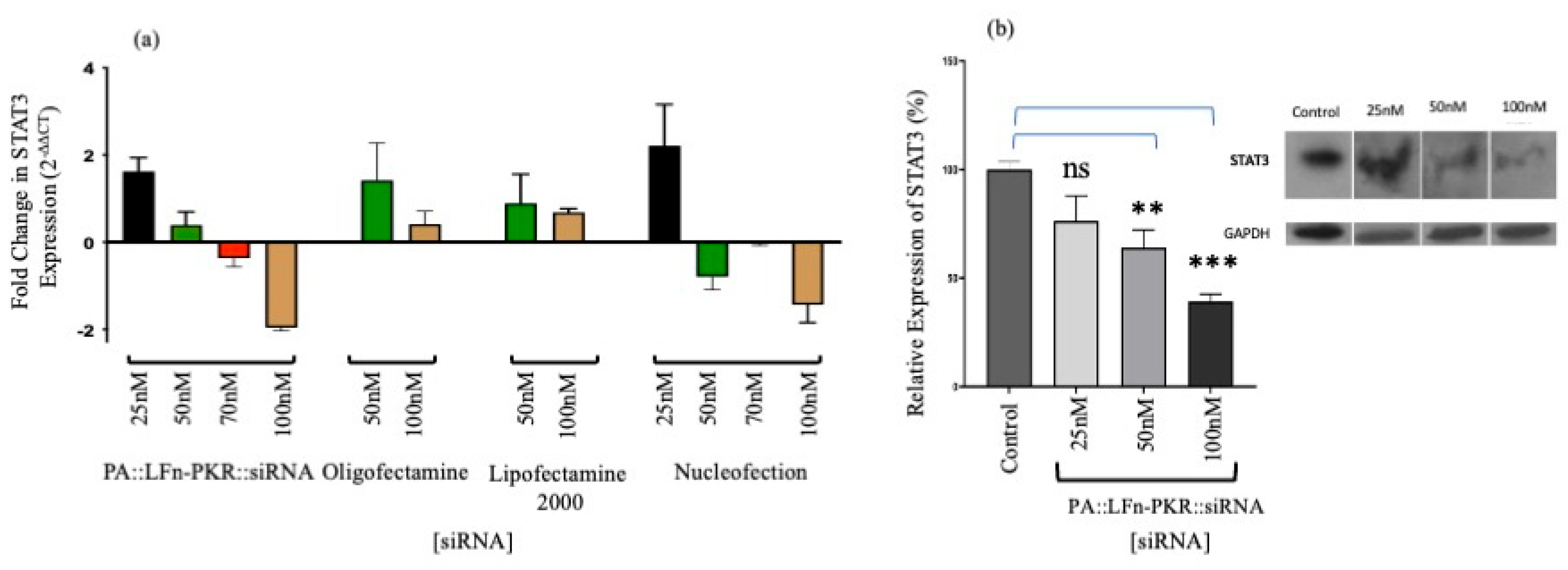 Pharmaceutics 17 01584 g002 Pharmaceutics 17 01584 g002