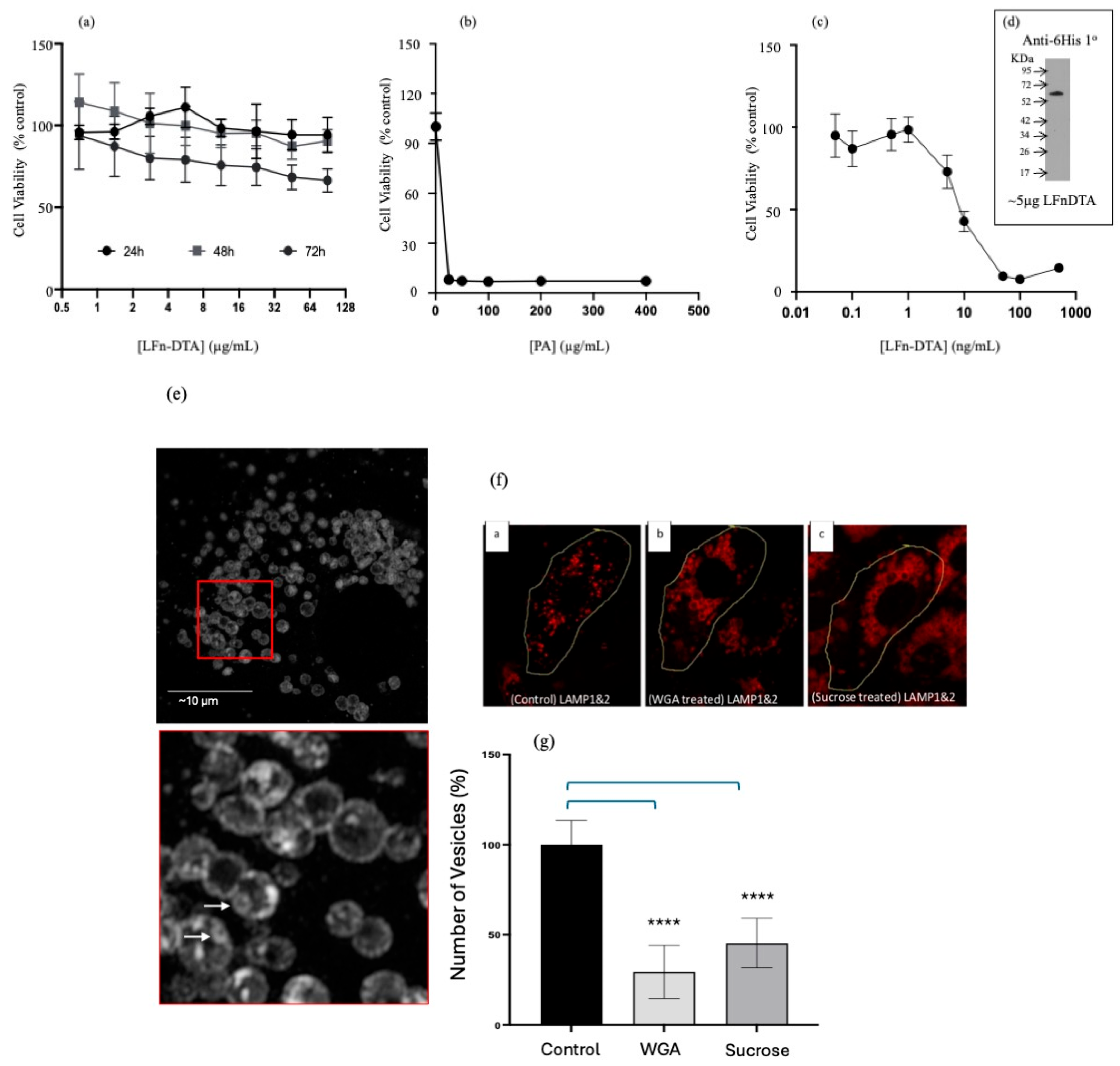 Pharmaceutics 17 01584 g003 Pharmaceutics 17 01584 g003